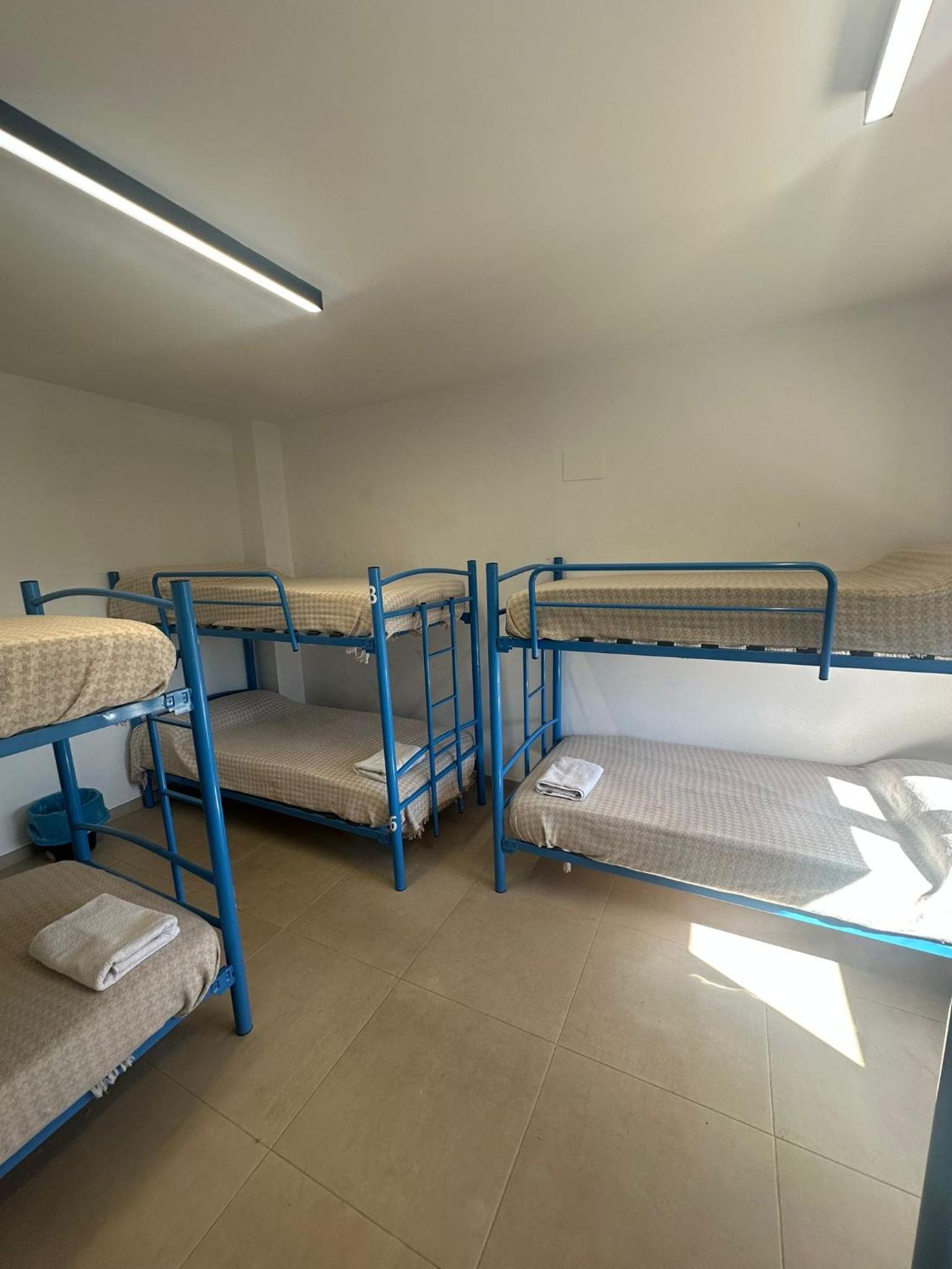 Bunk Bed in Mixed Dormitory Room