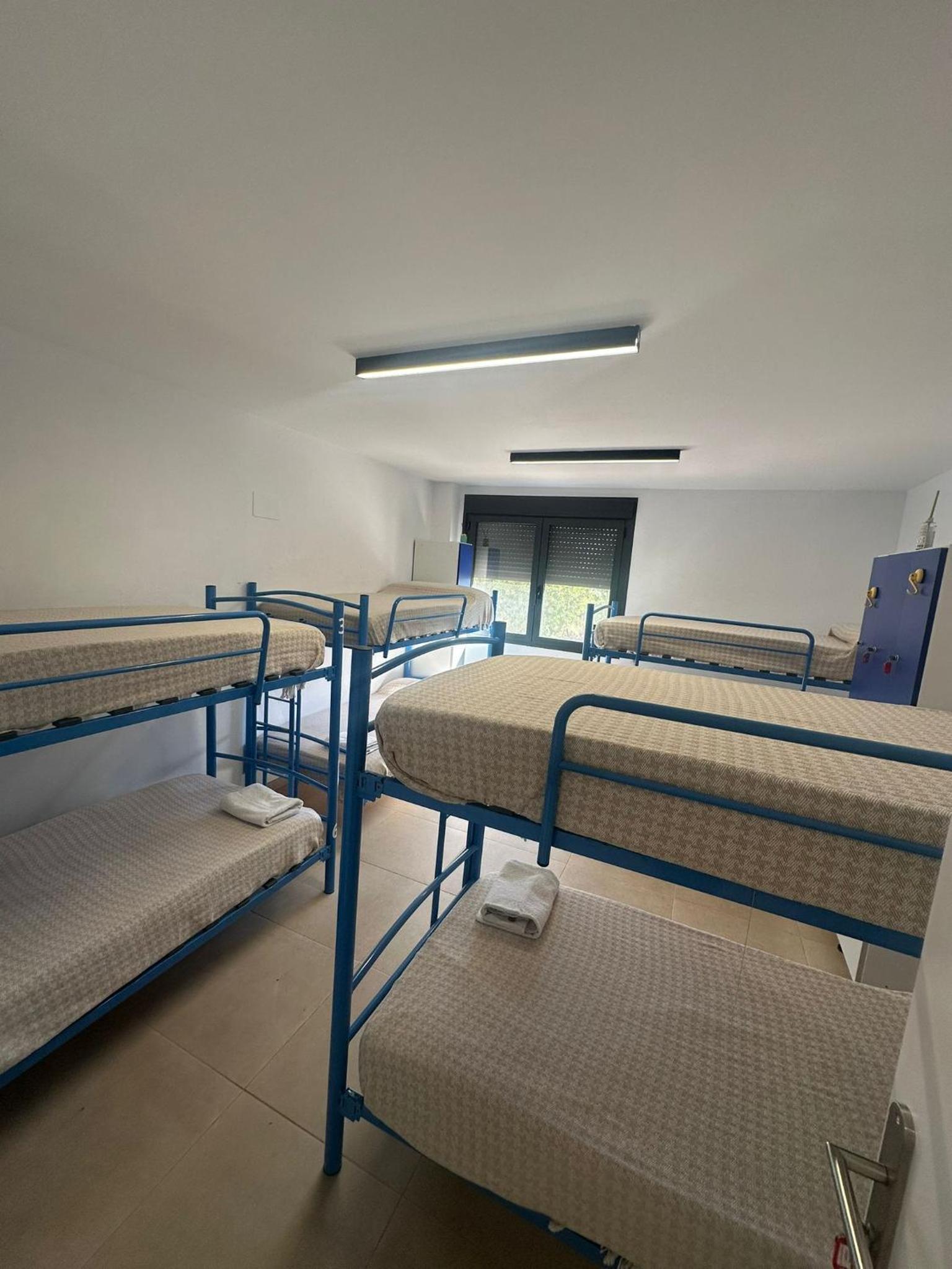 Bunk Bed in Mixed Dormitory Room photo 3