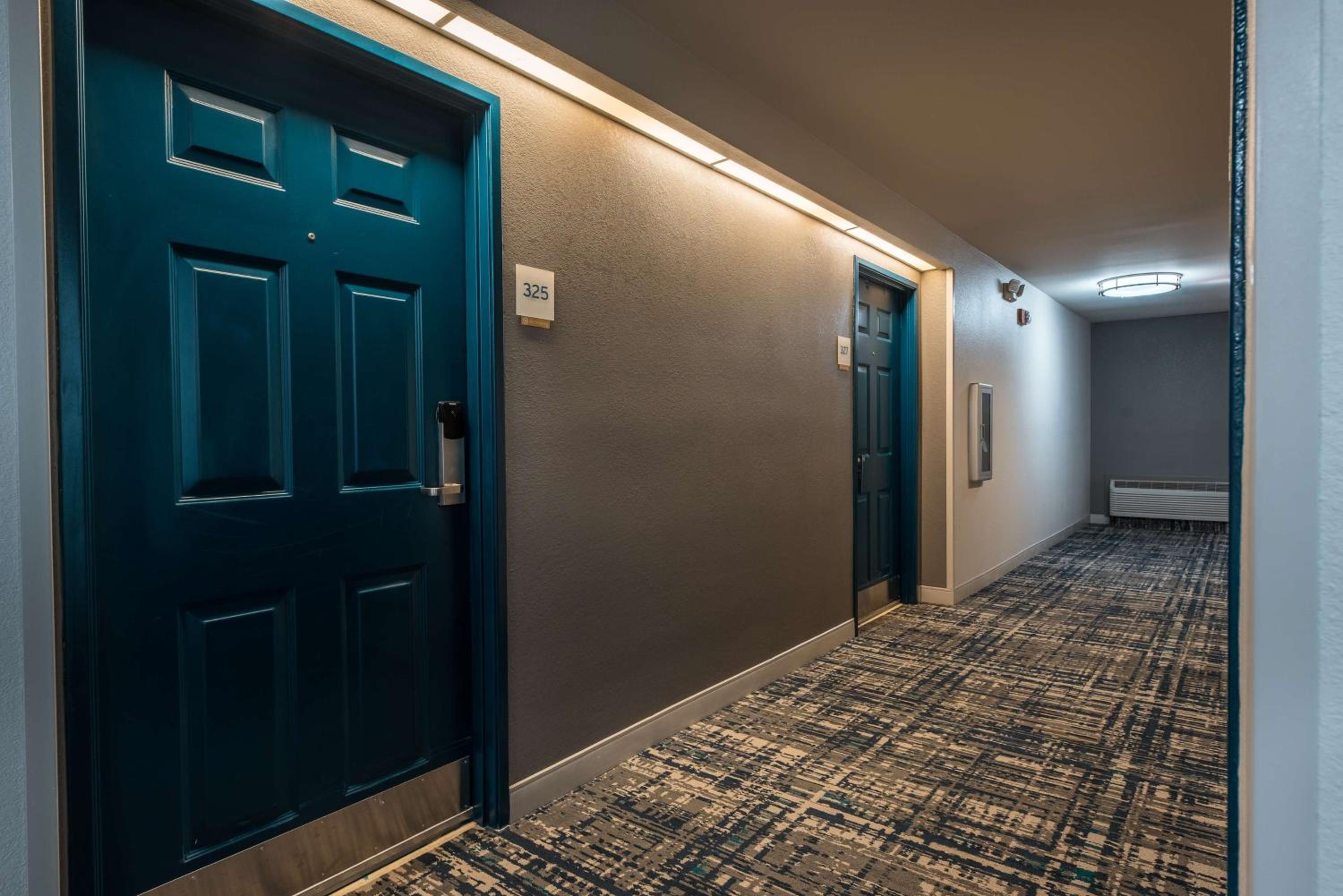 Suite - Photo 1
