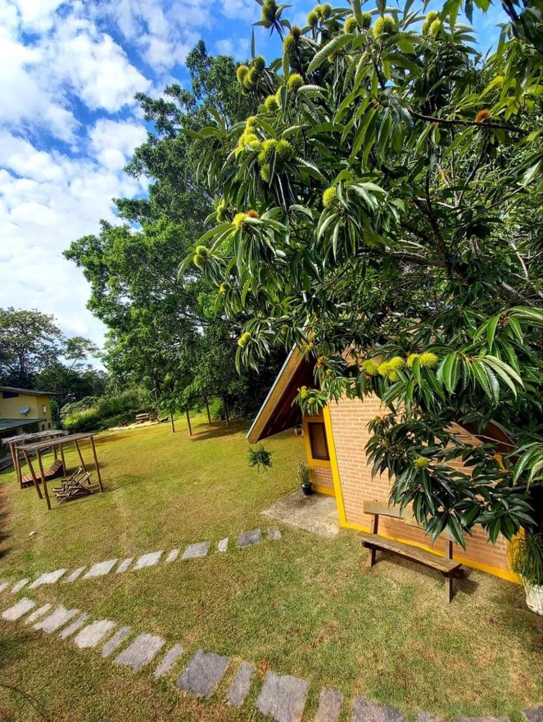 Chalet photo 1