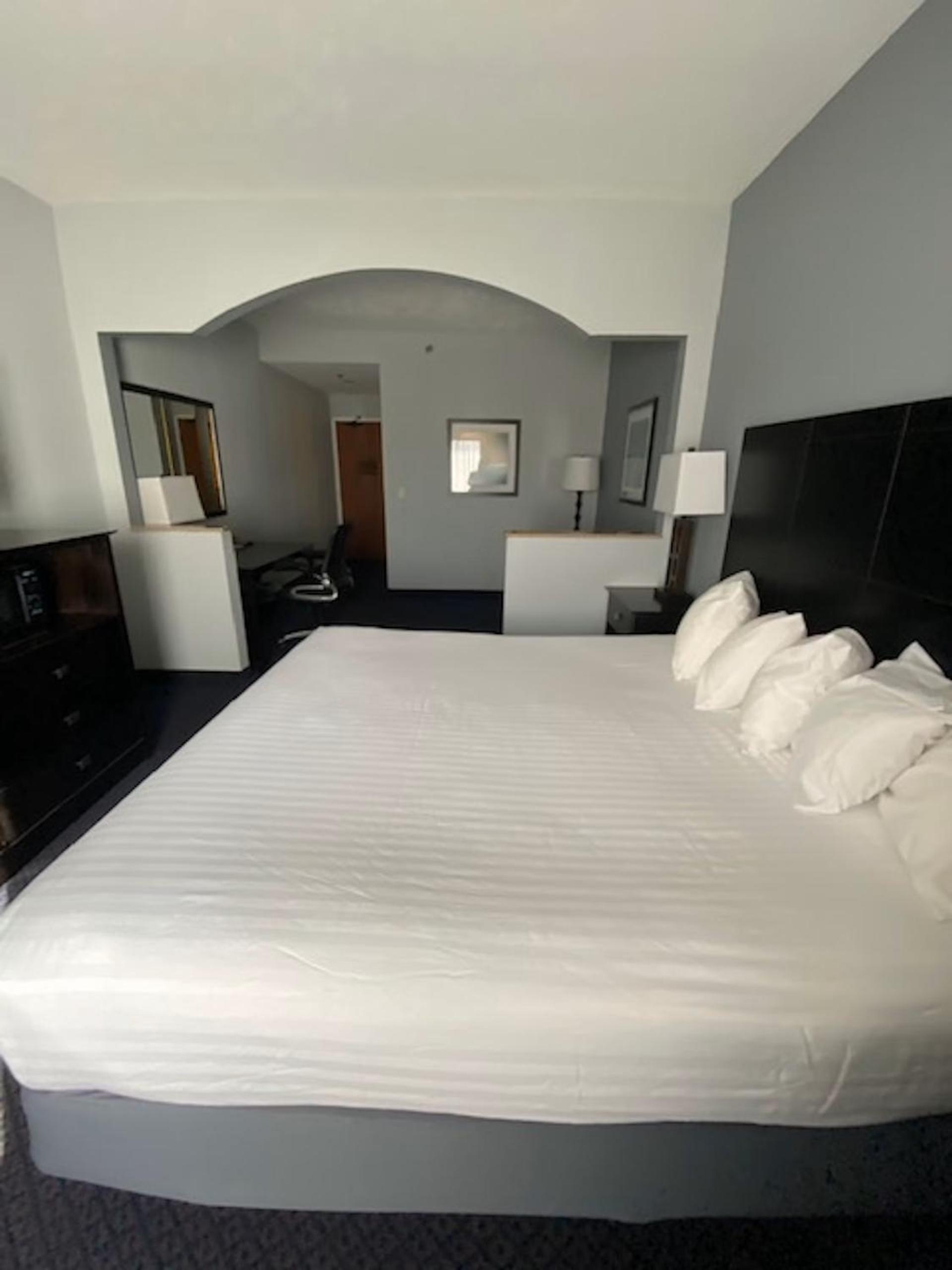 Executive Suite photo 2