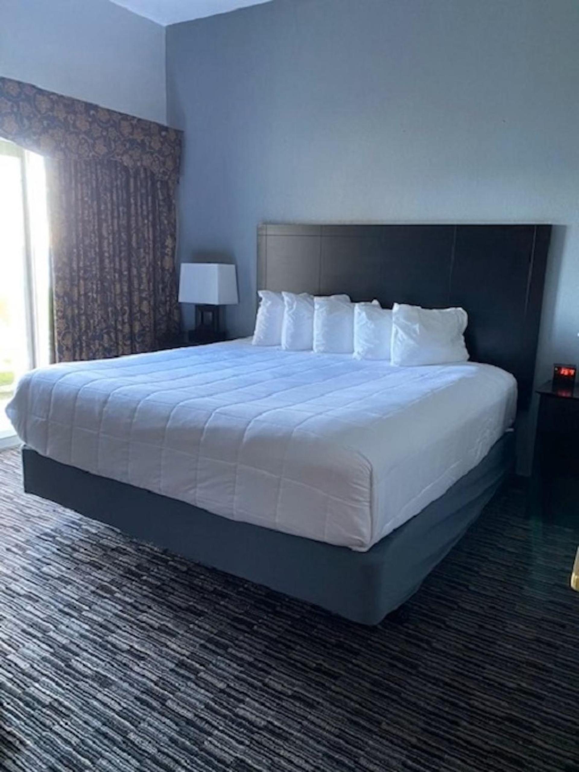 Executive Suite photo 1