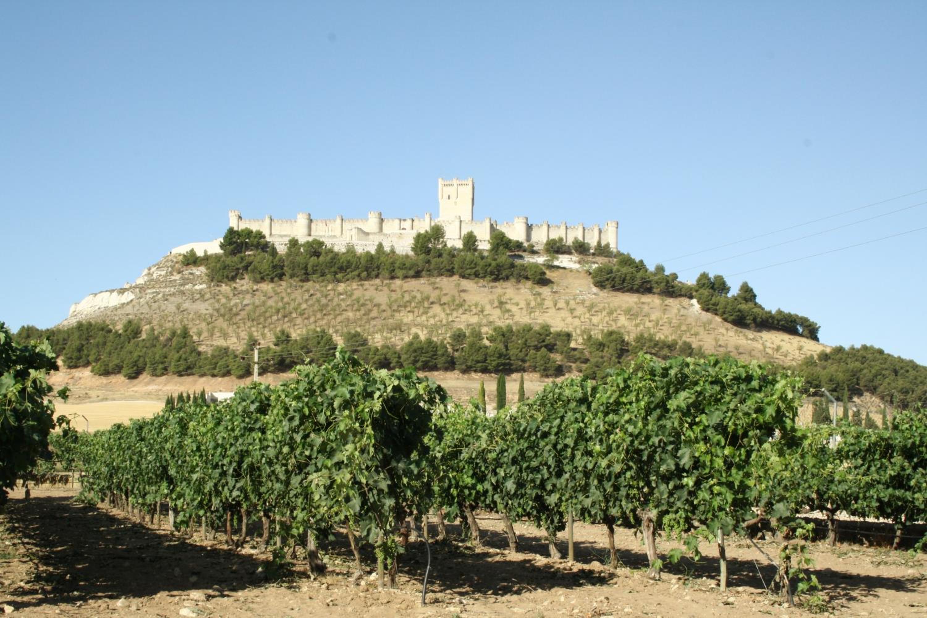 CASA BODEGAS MARCOS - Photo 29