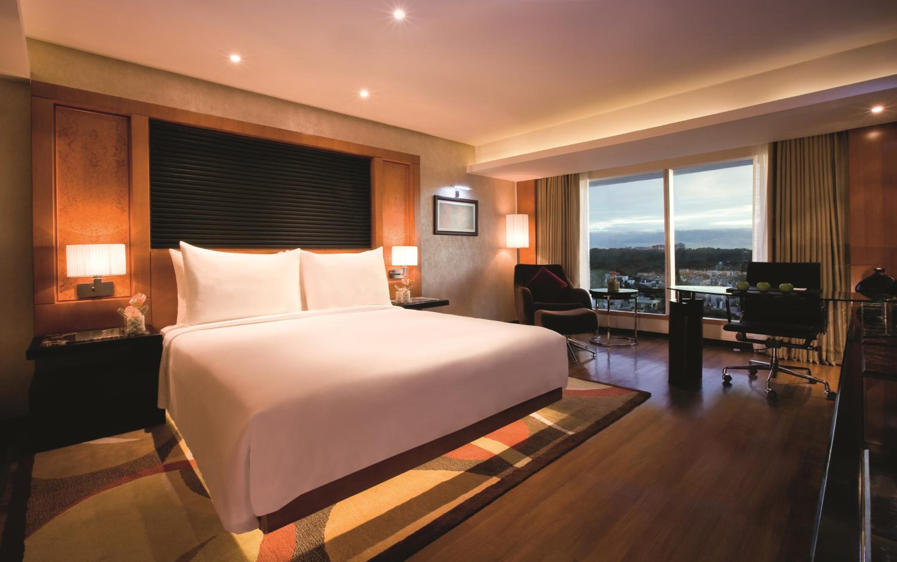 Executive Club Room - Photo 2