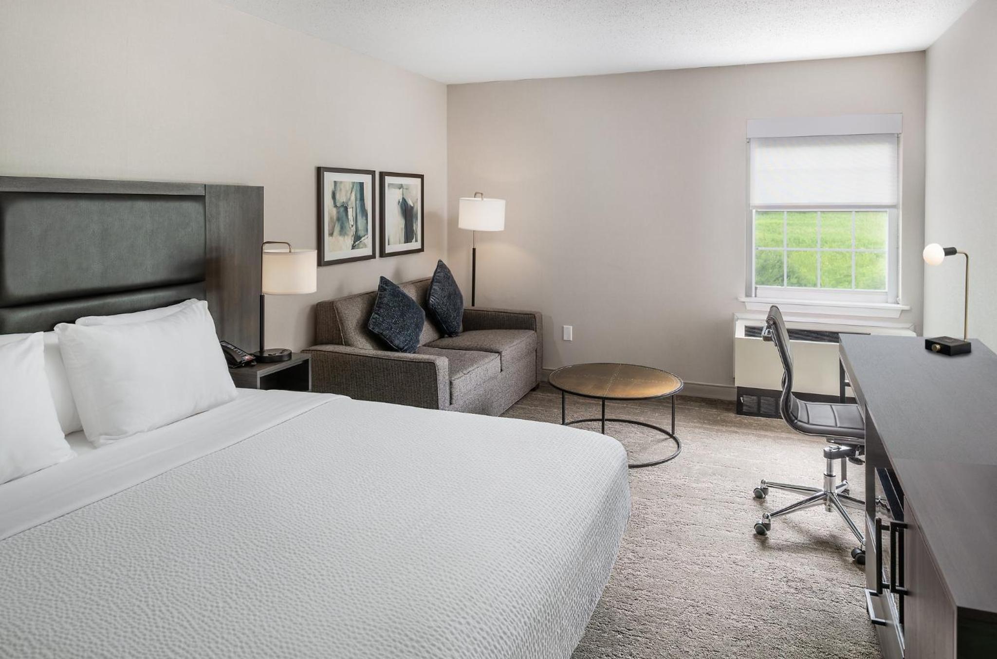 Standard King Room with Sofa Bed and Tub - Mobility Accessible  - Photo 4