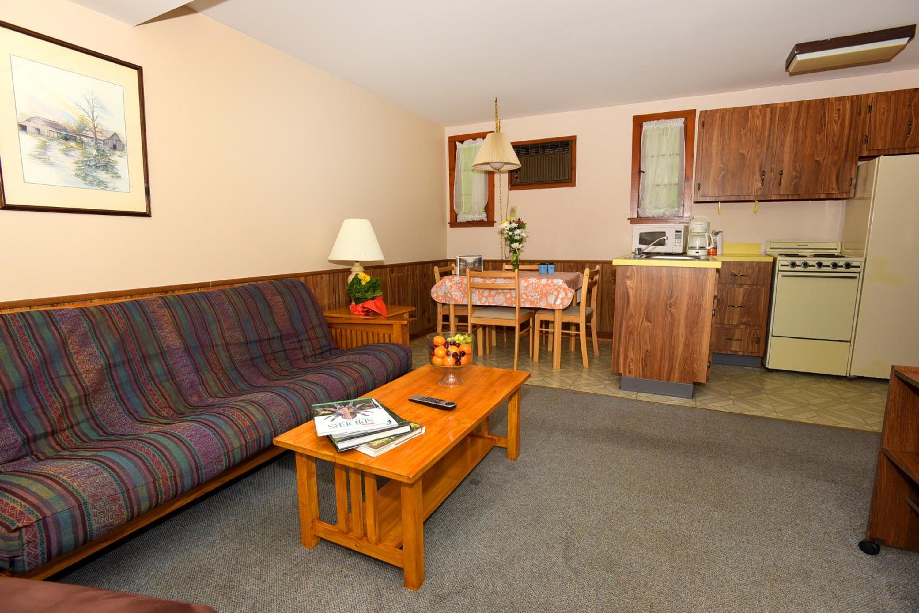 One-Bedroom Apartment photo 3