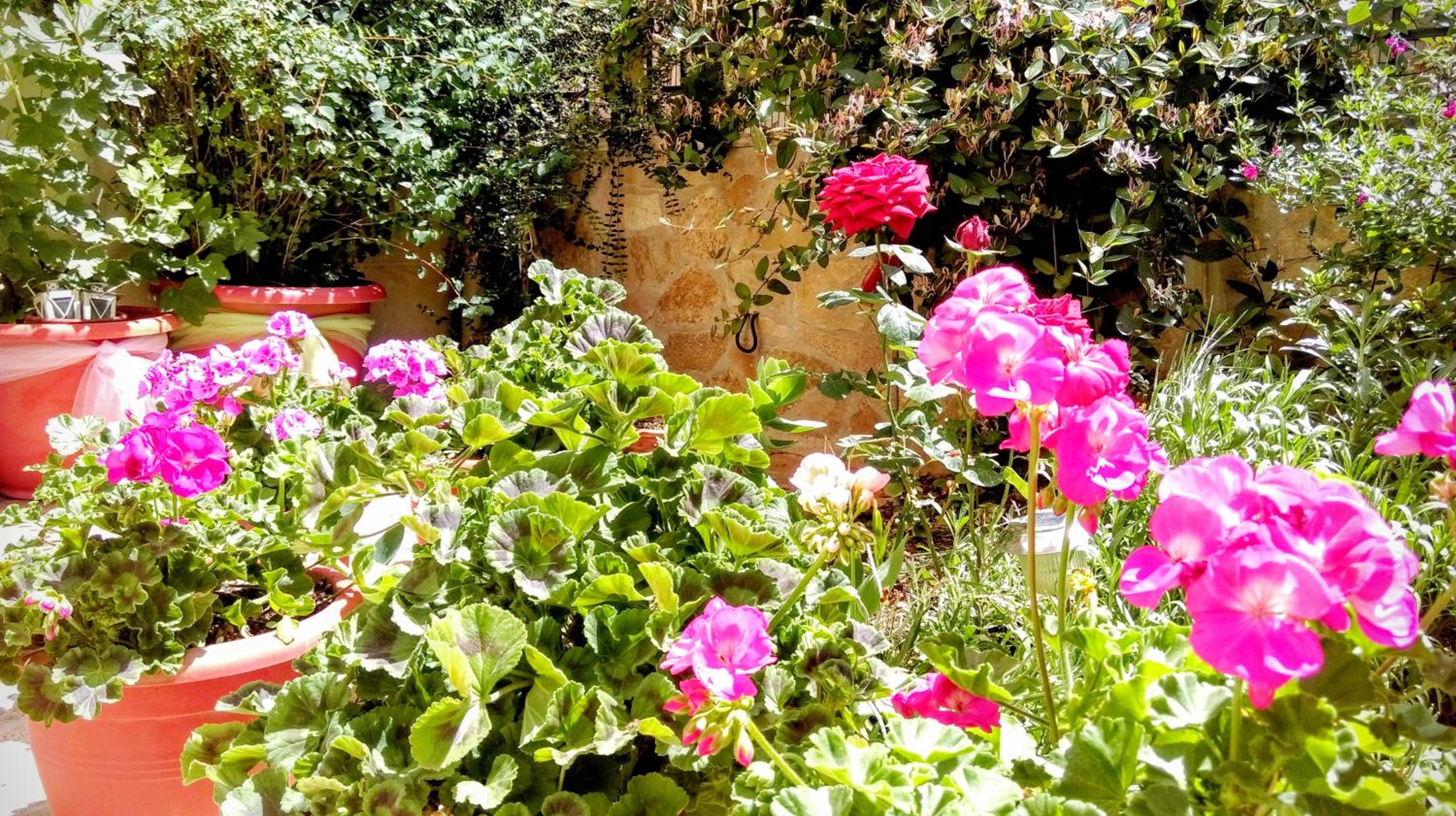 Apartment with Garden View - Photo 4