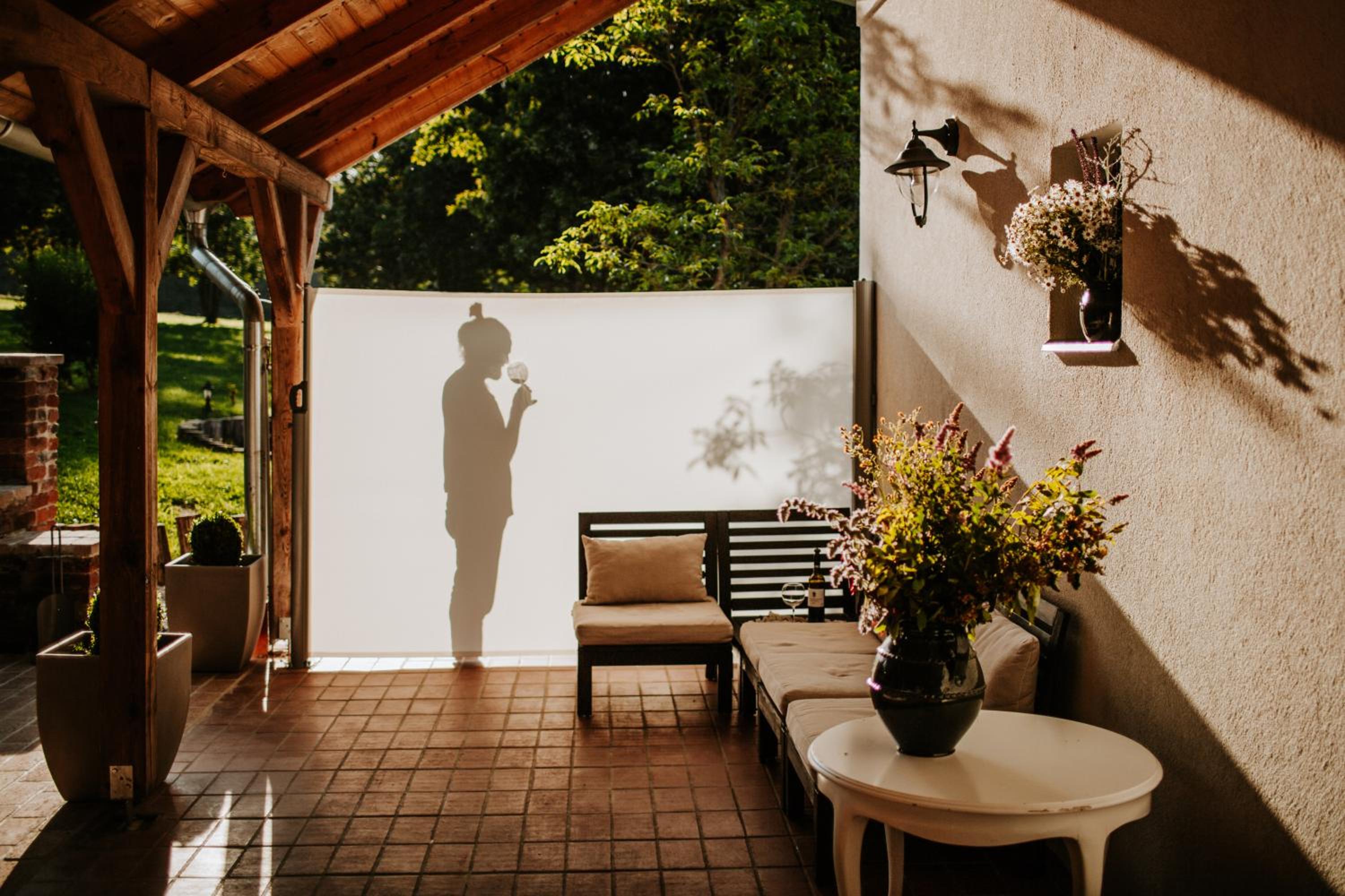 Deluxe Villa photo 2