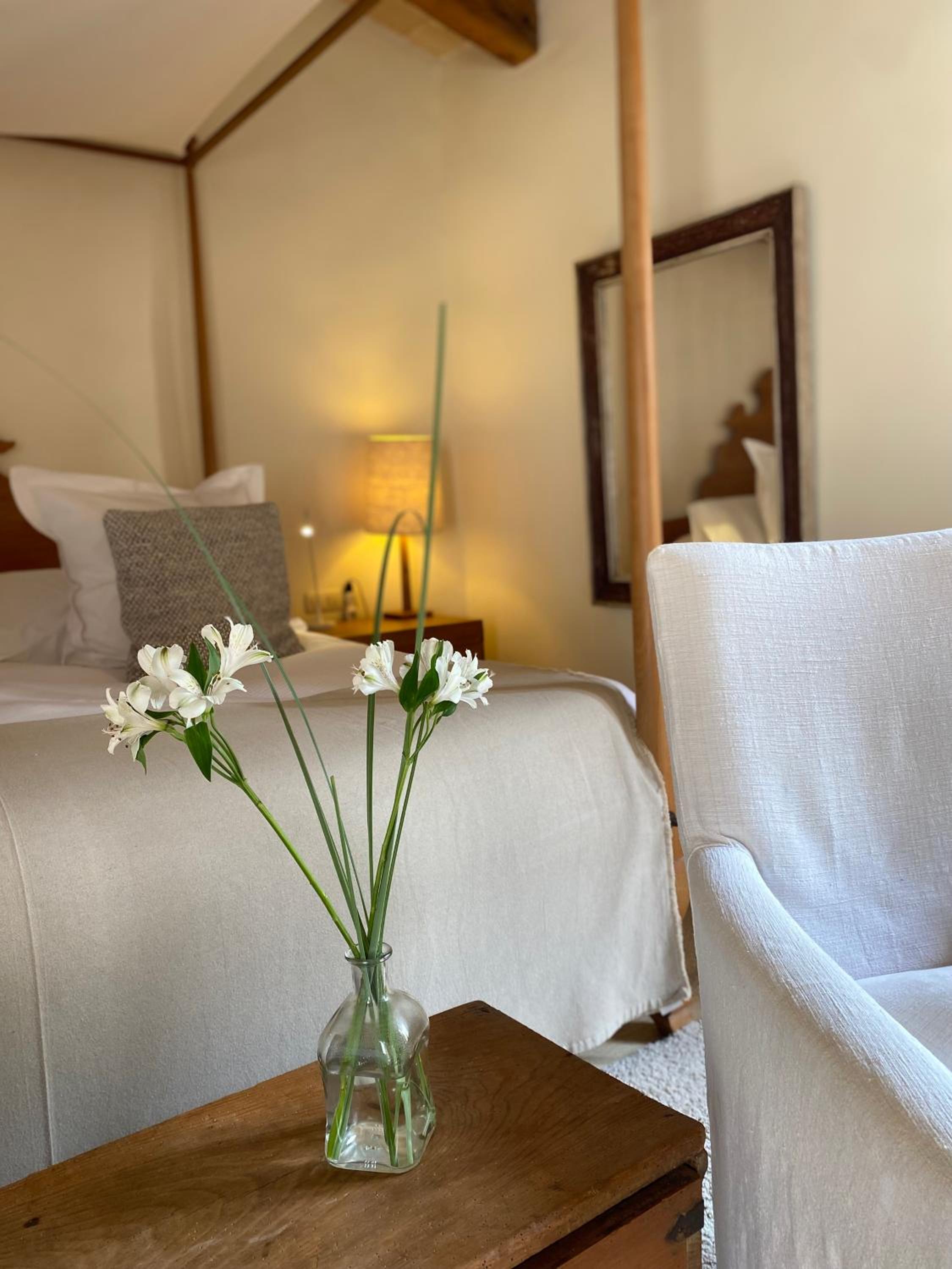 Junior Suite with Terrace