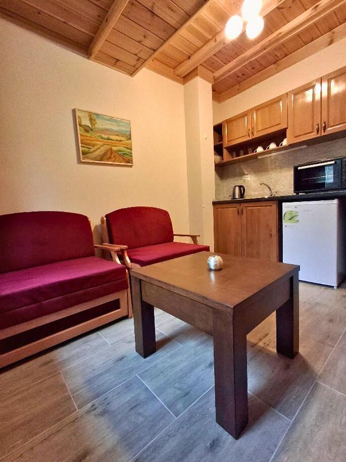 One-Bedroom Apartment with Balcony and Mountain View   photo 2