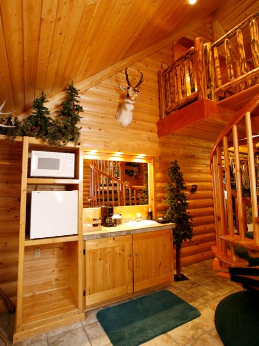 Queen Room - Rocky Mountain Cabin Theme photo 3