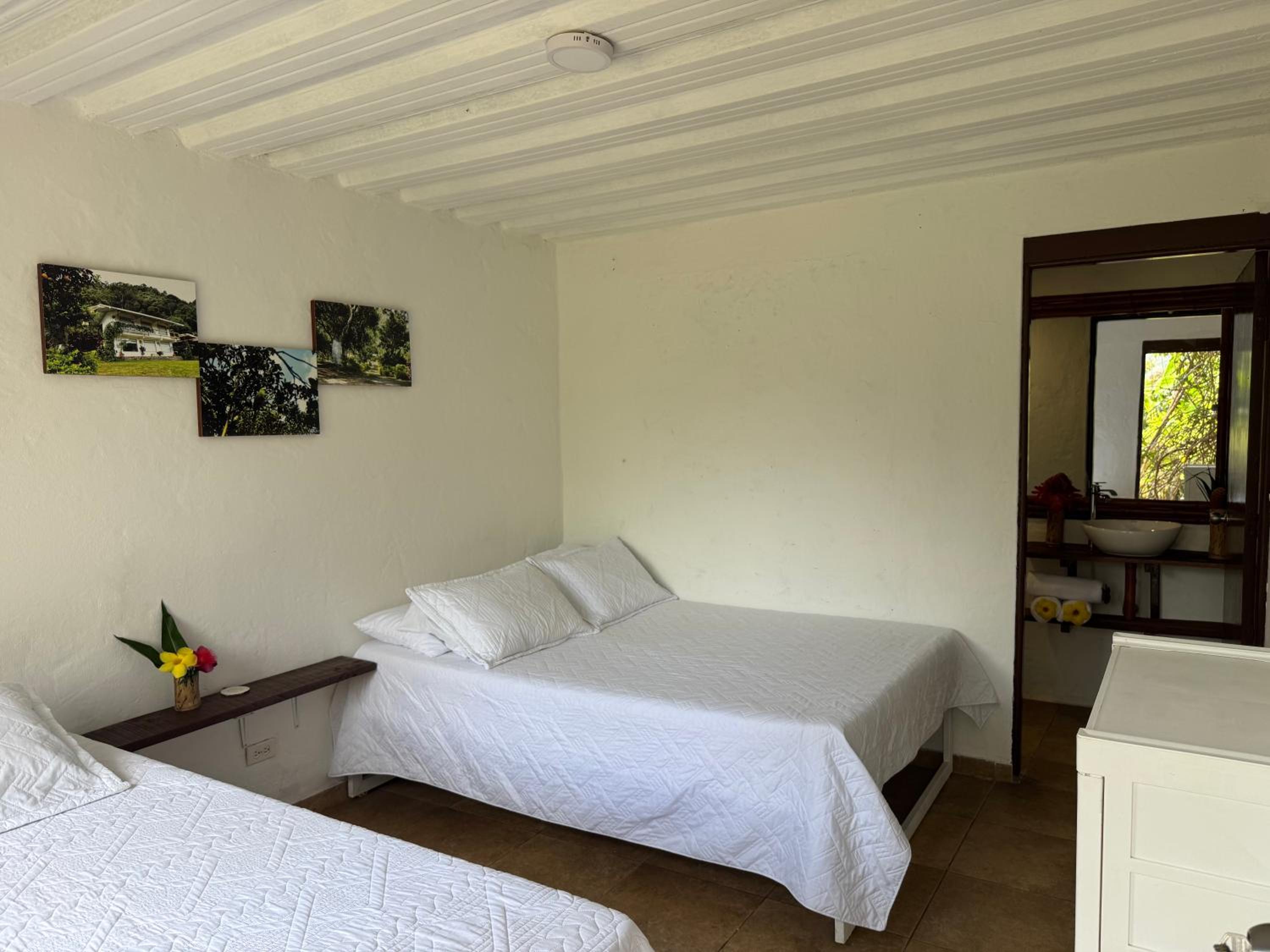 Triple Room with Mountain View photo 3