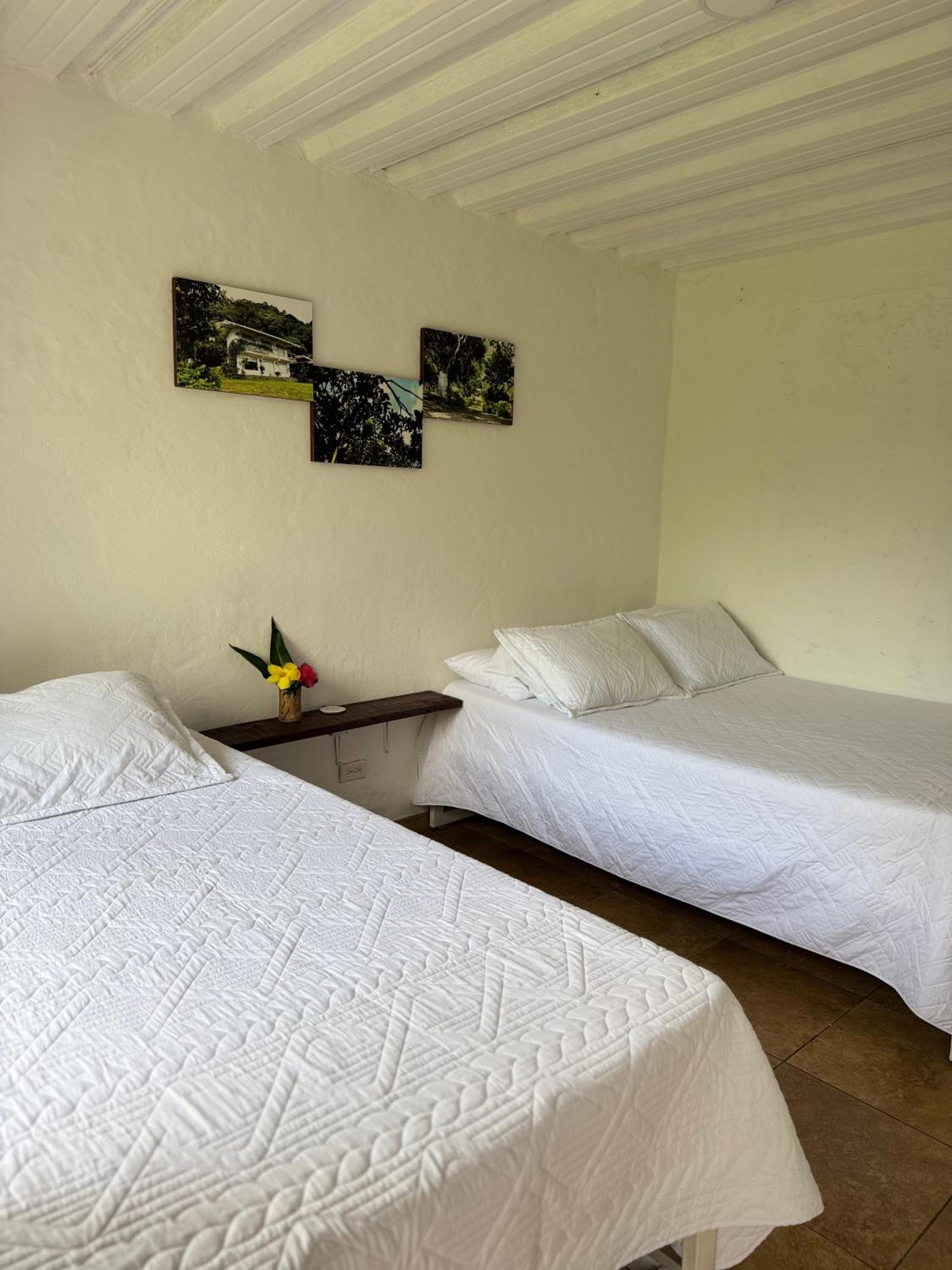Triple Room with Mountain View photo 2