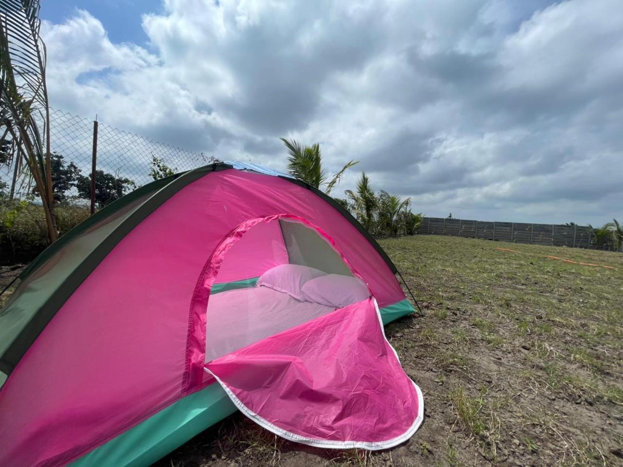 Tent
