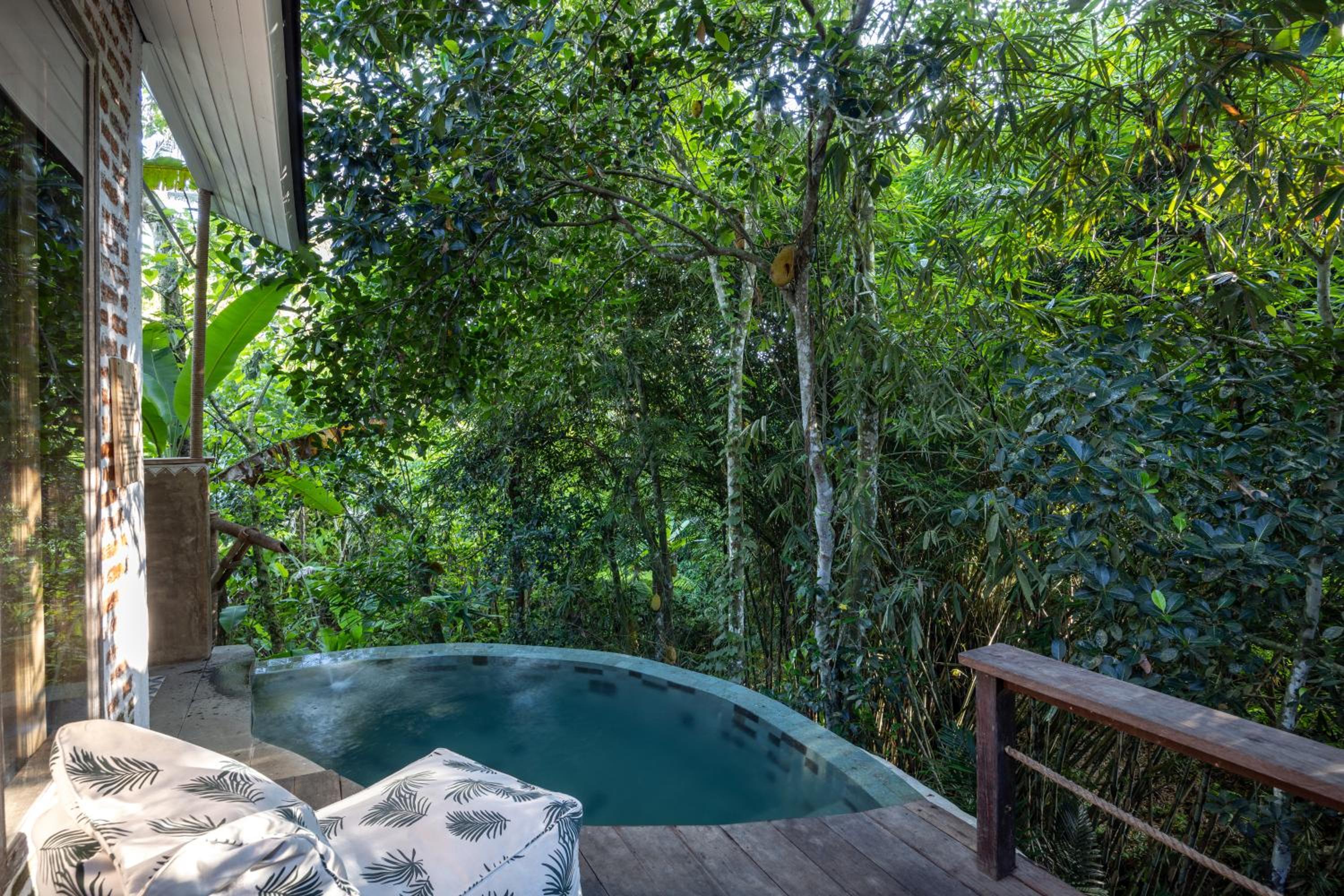 One Bedroom Thermal Pool Villa with Welcome Massage photo 3