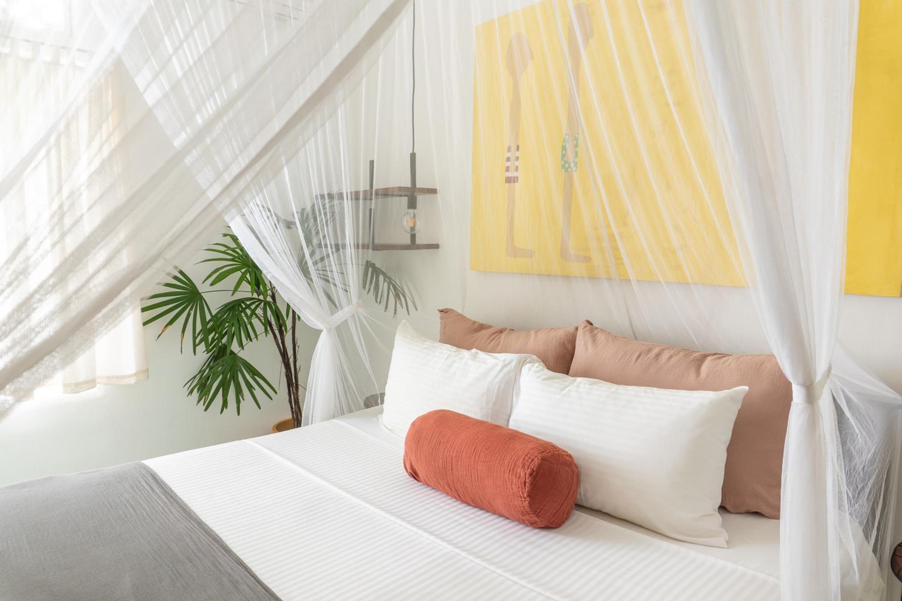 Double Room - White Lotus photo 2