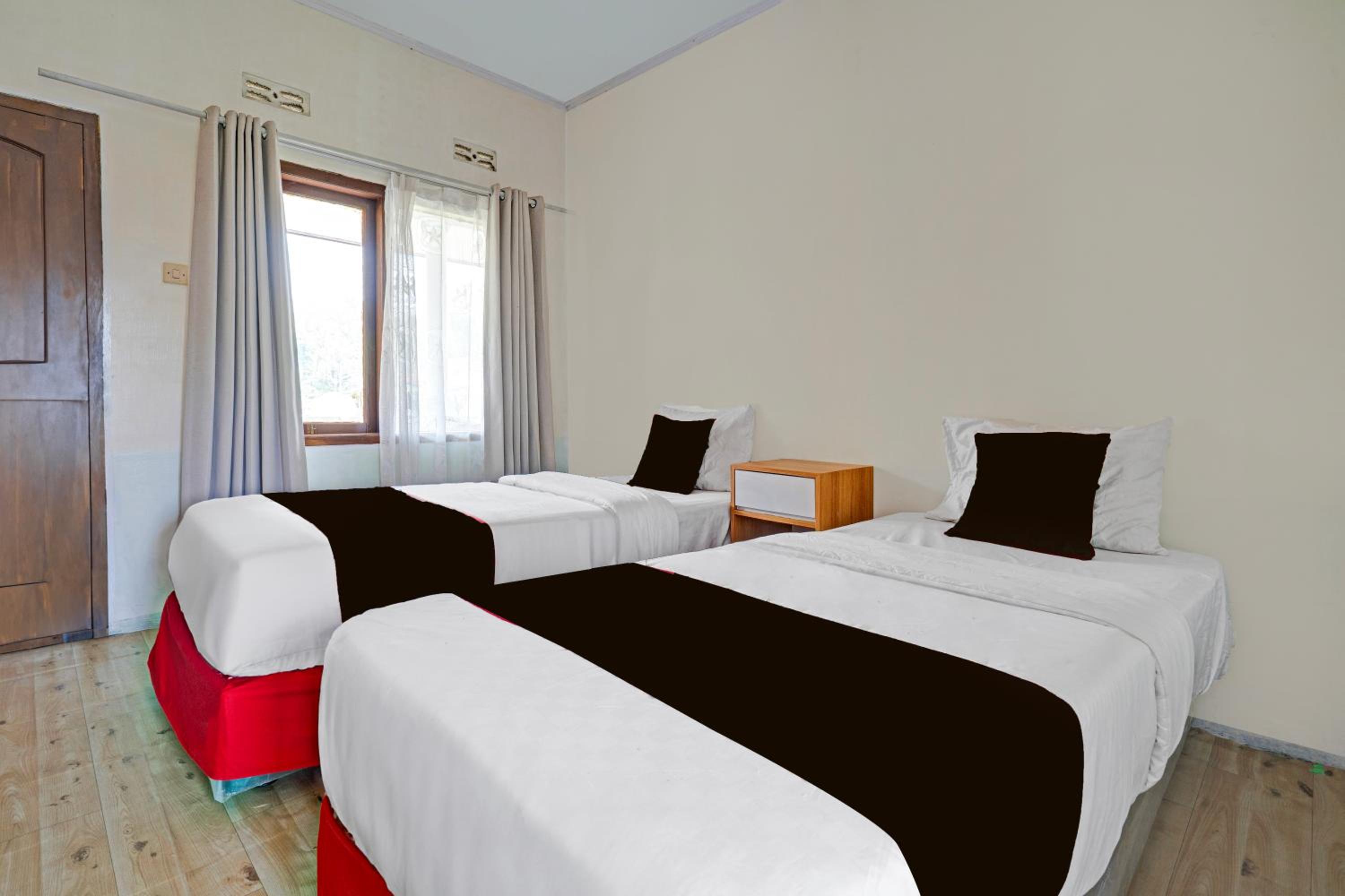 Delxue Twin Room photo 3