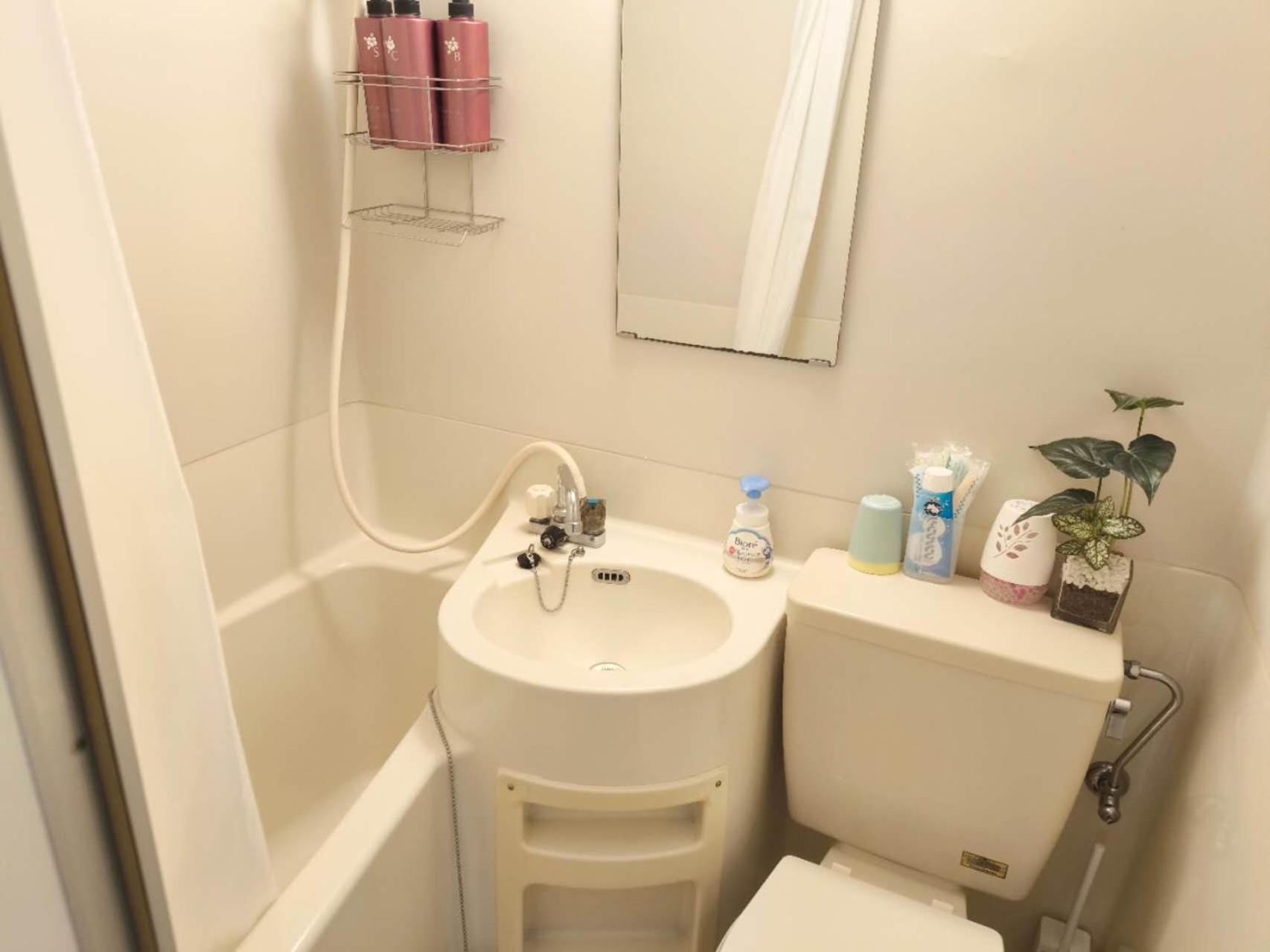 Apartment with Shower photo 2