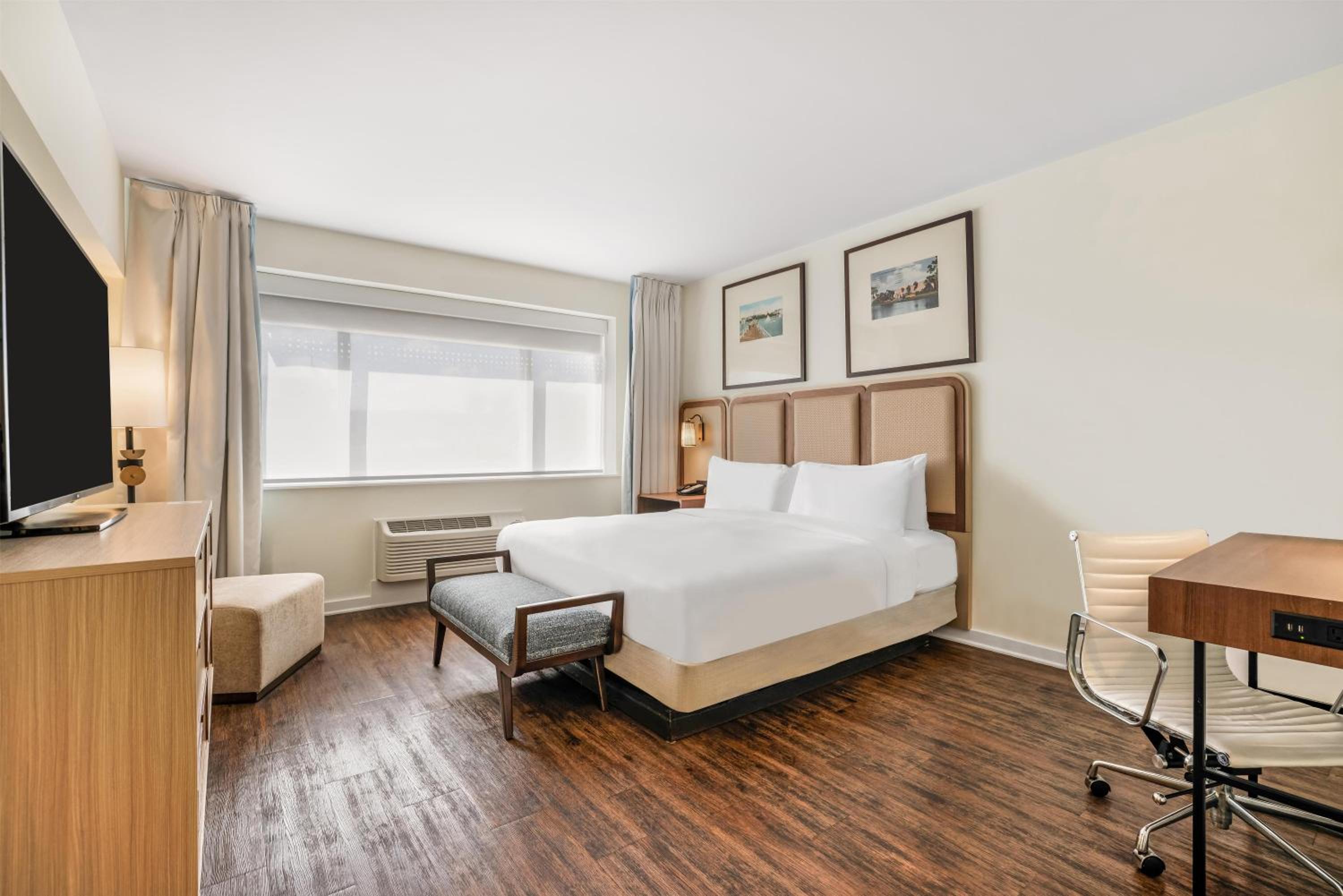 King Room - Photo 1