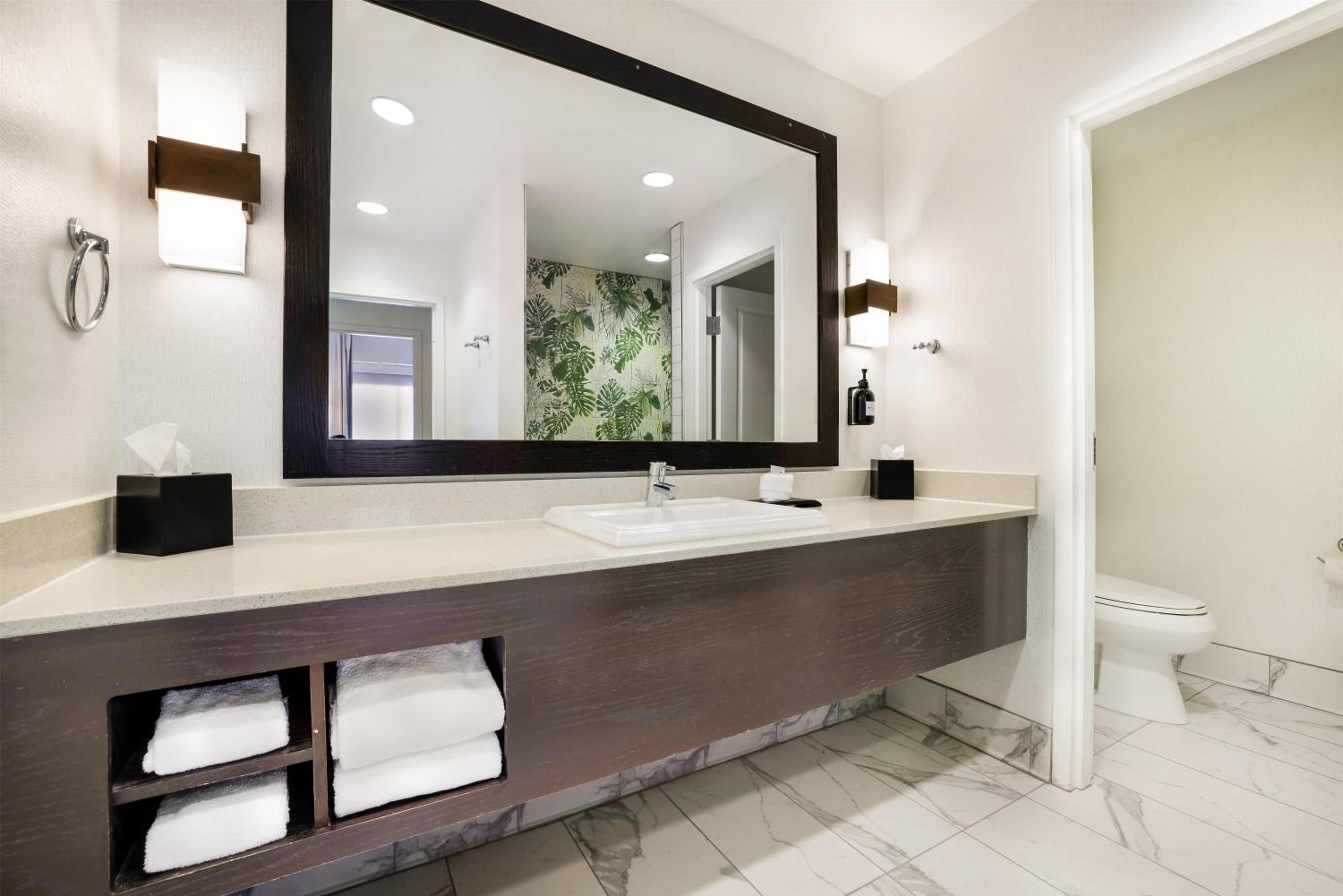 One-Bedroom King Suite - Photo 4