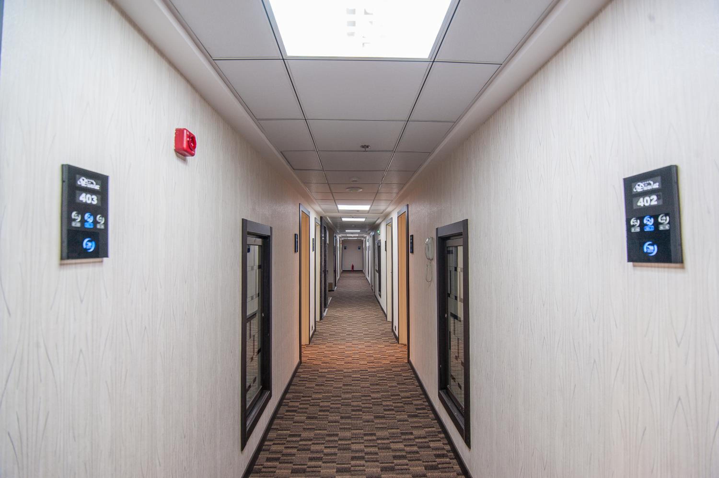 Deluxe Double or Twin Room photo 2