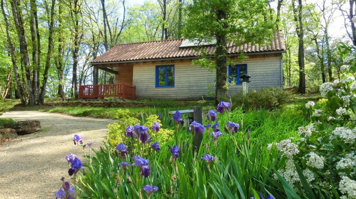 Chalet ( 6 Adults ) - Photo 16