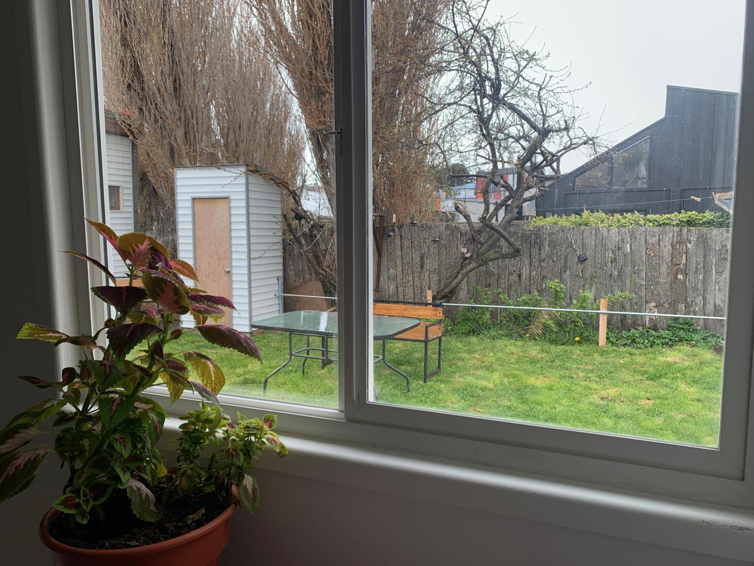 King Room with Garden View