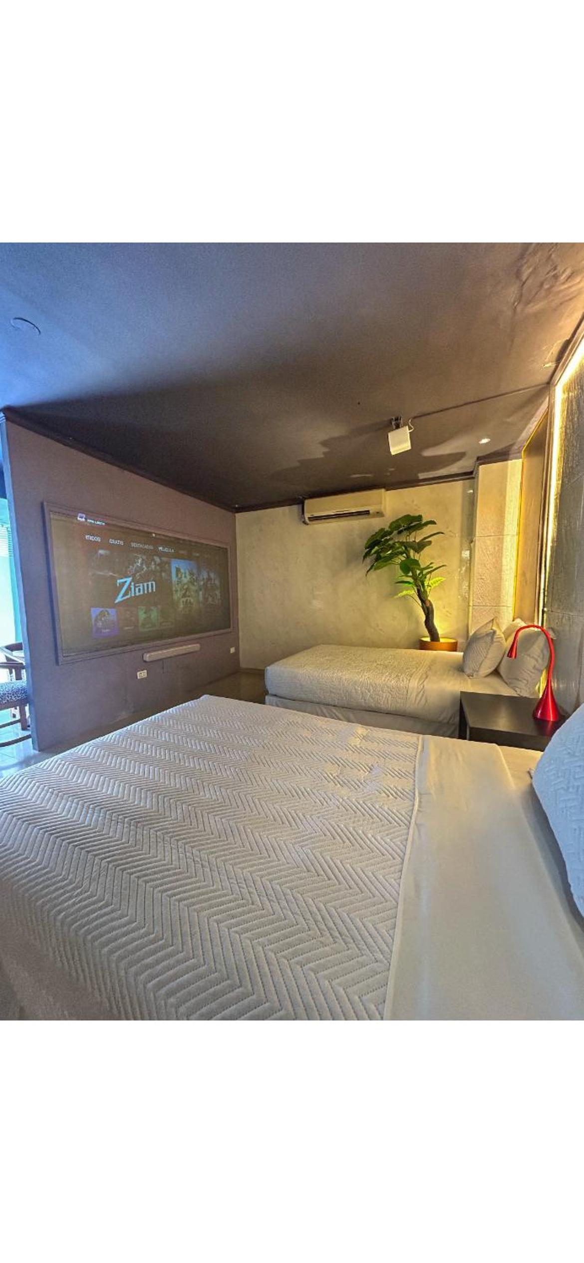 Twin Room photo 3
