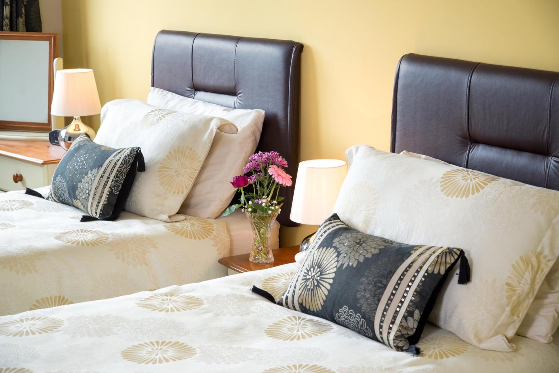 Deluxe Double or Twin Room photo 1