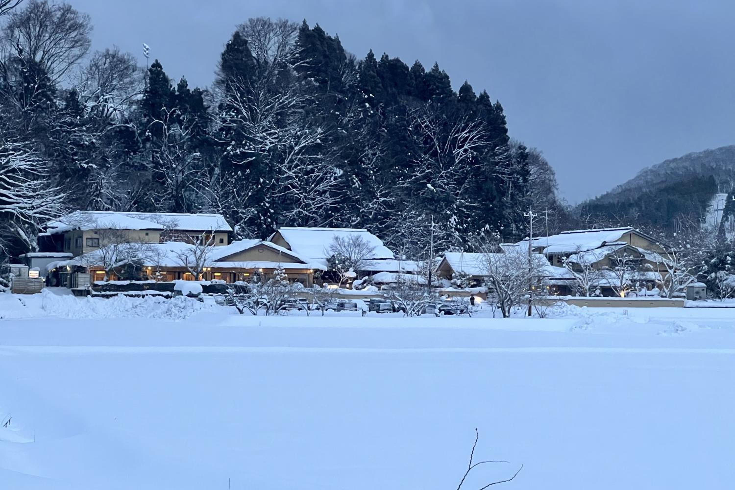 Western-style room with a seasonal Kaiseki dinner and Japanese breakfast