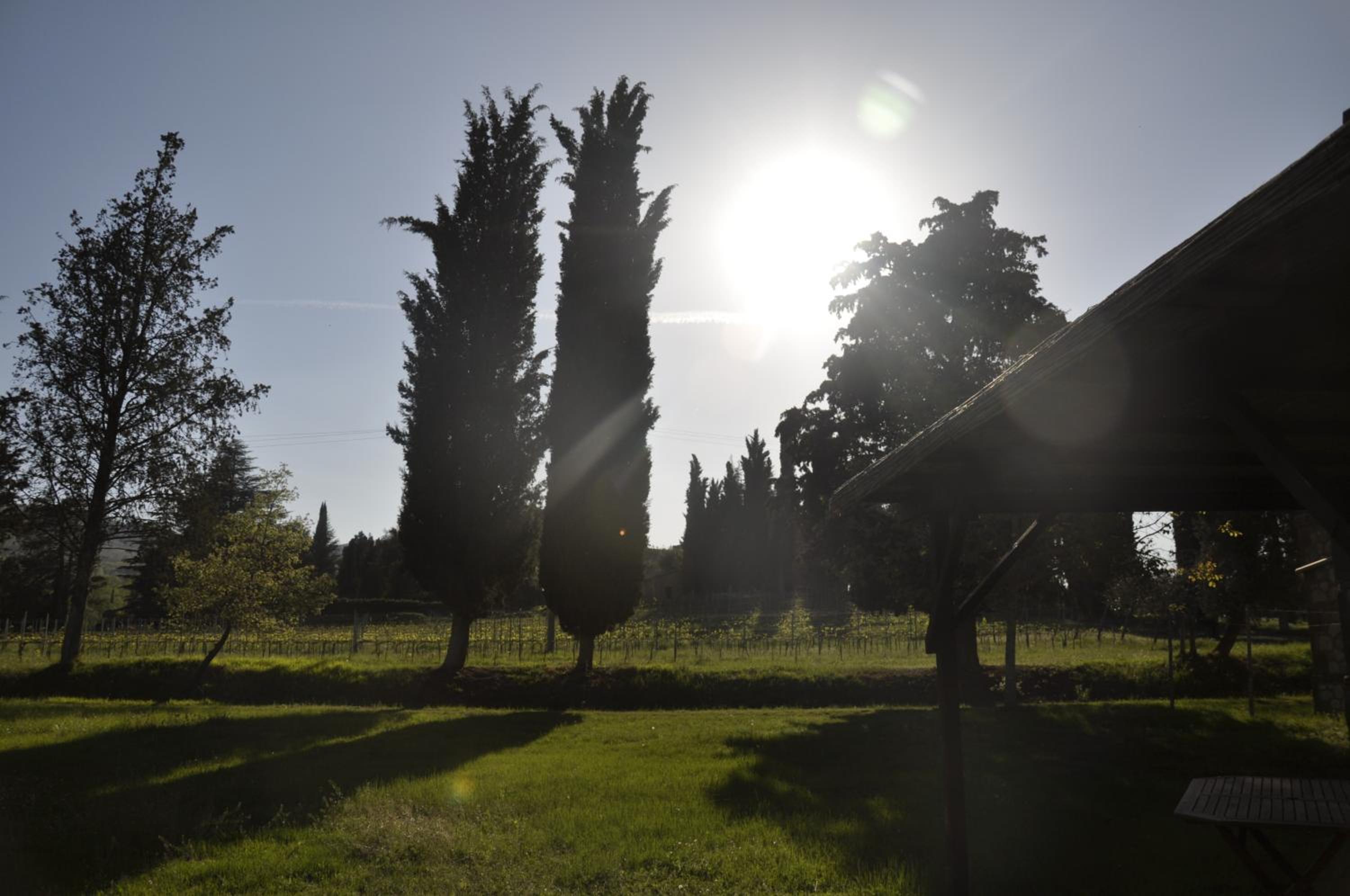 Villa with Garden View photo 3
