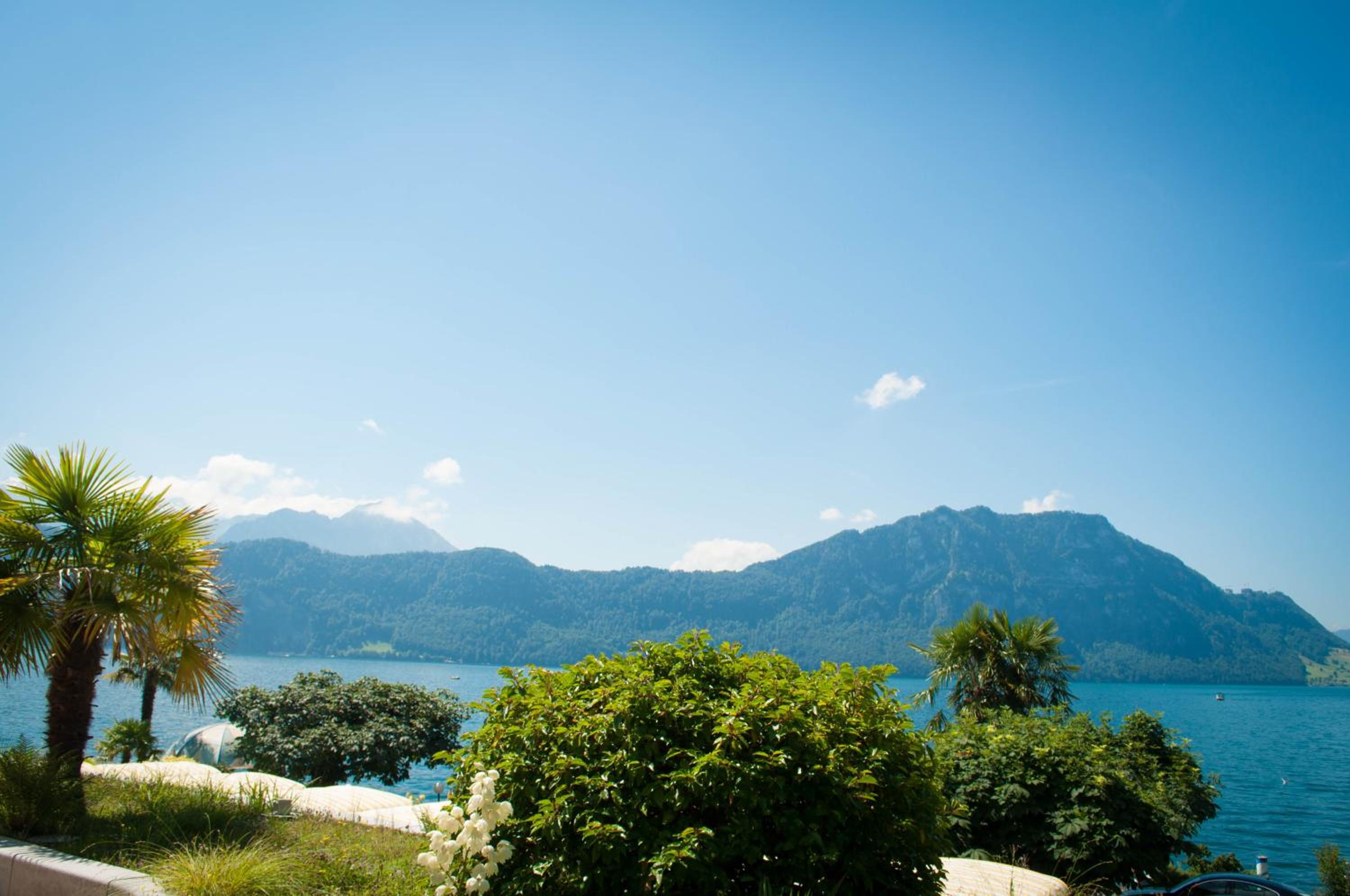 Single Room with Lake View photo 3