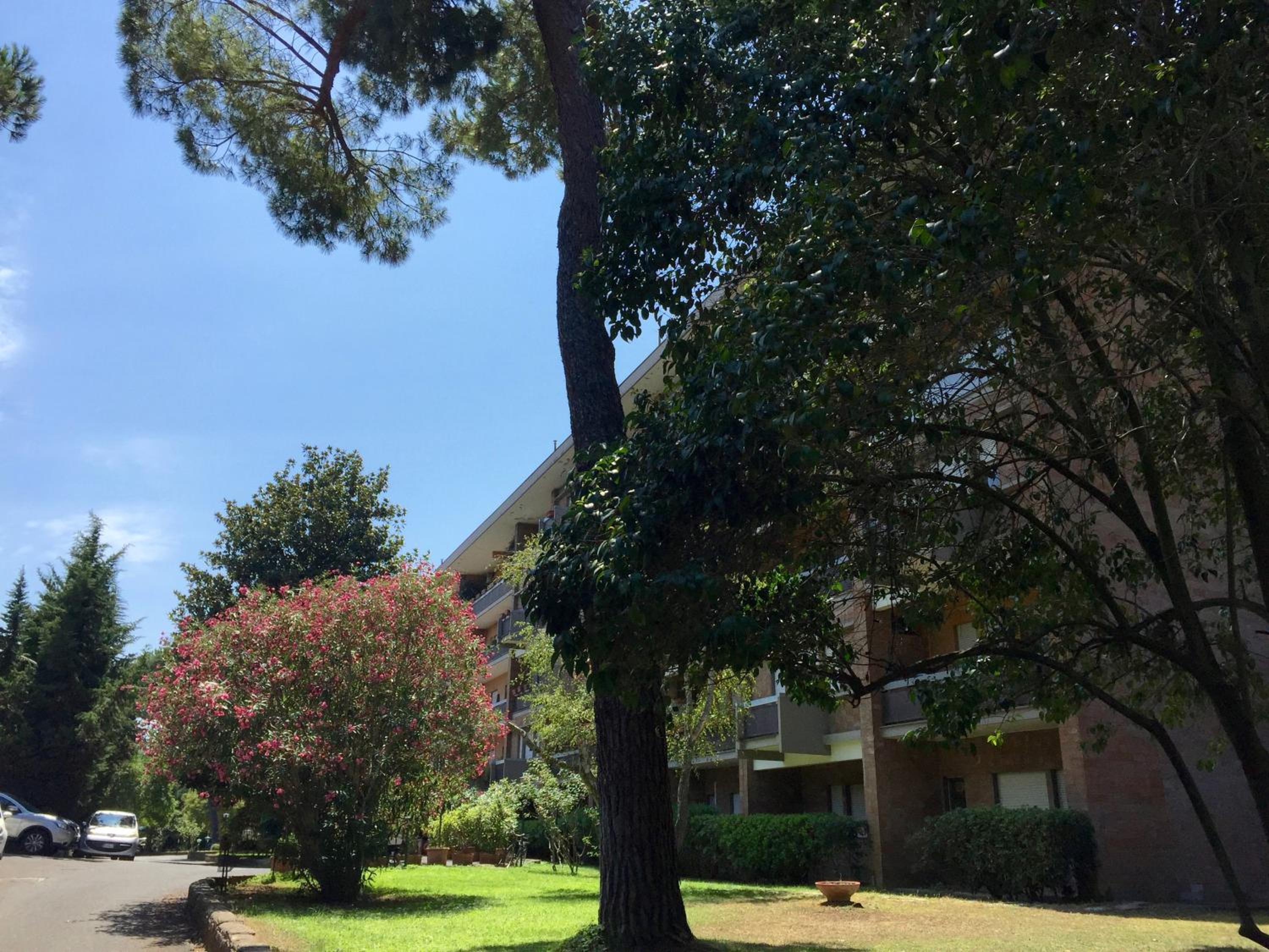 Superior Apartment photo 3