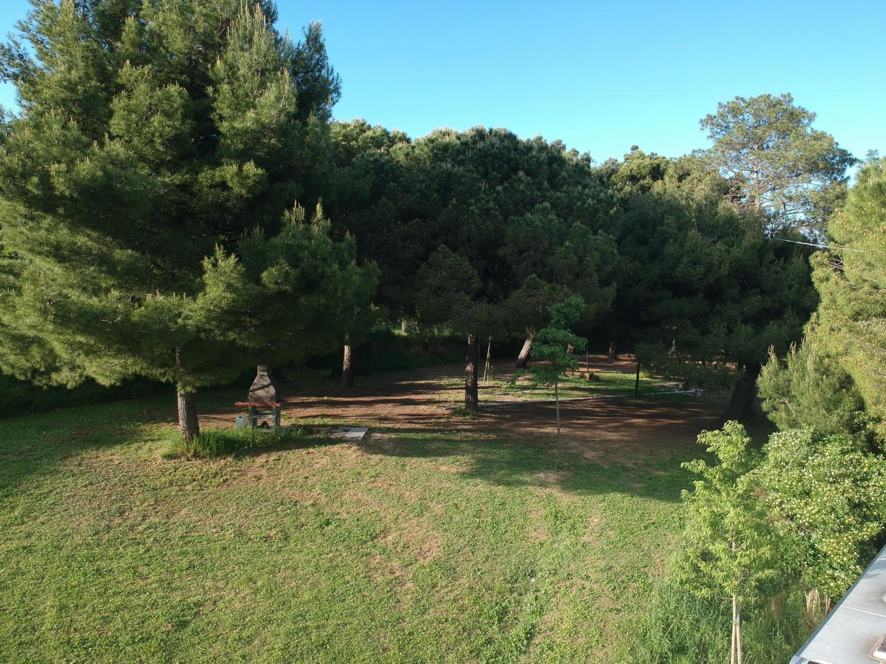Piazzola