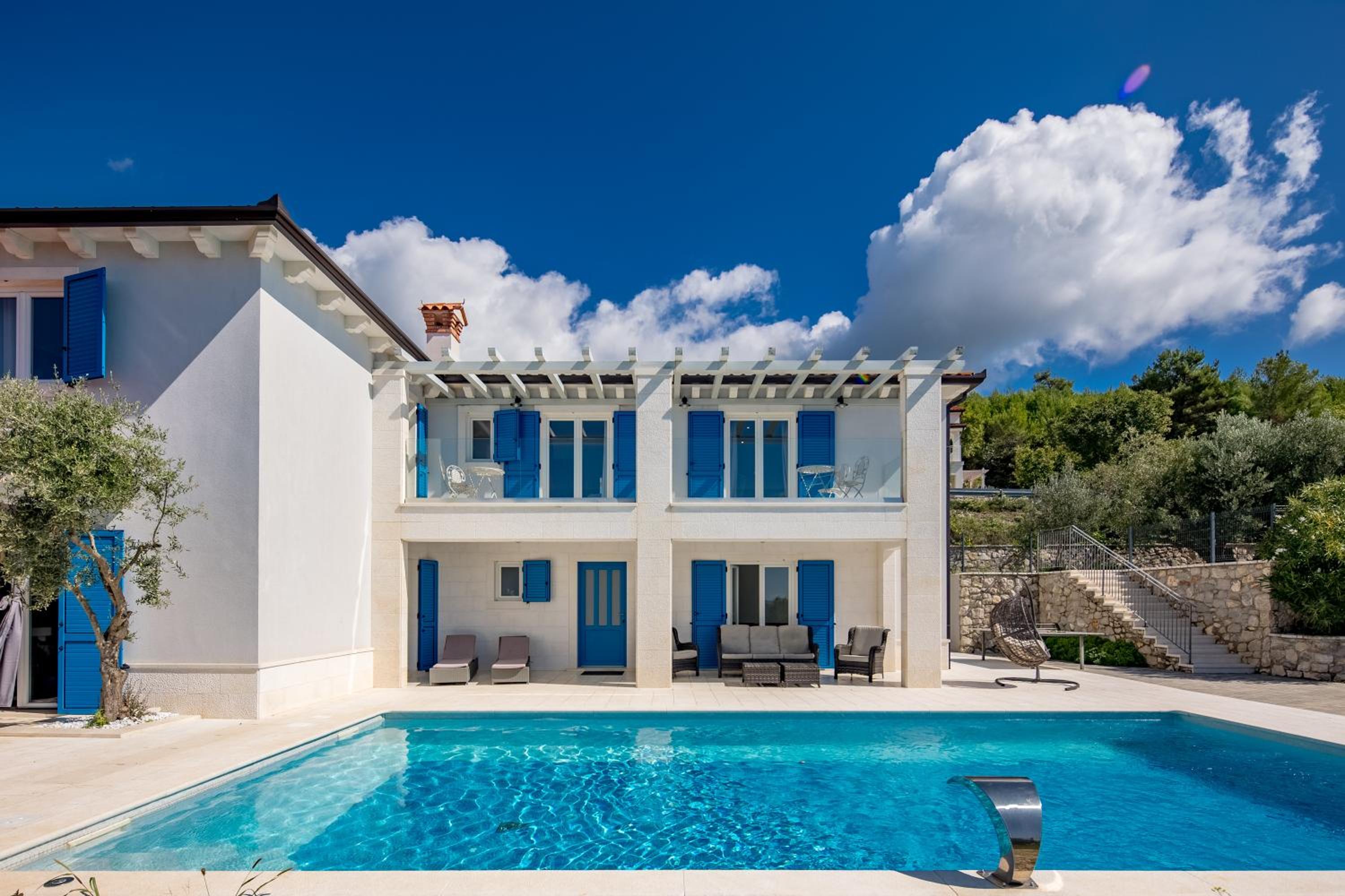 Deluxe Villa photo 2