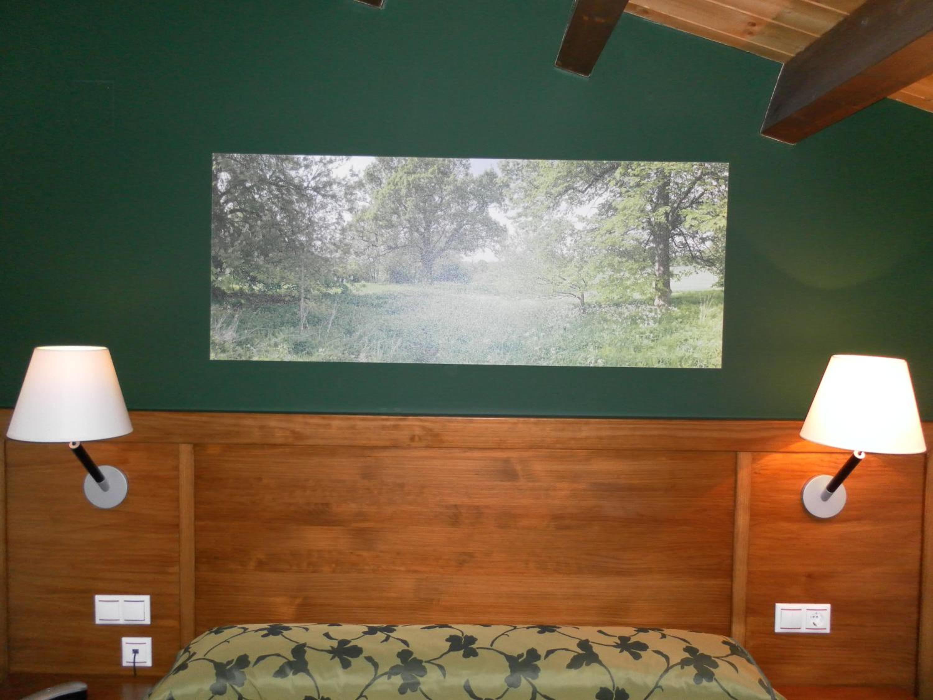 Superior Double Room photo 3