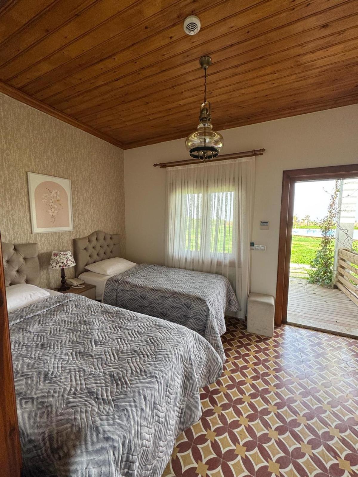 Standard Twin Room photo 1