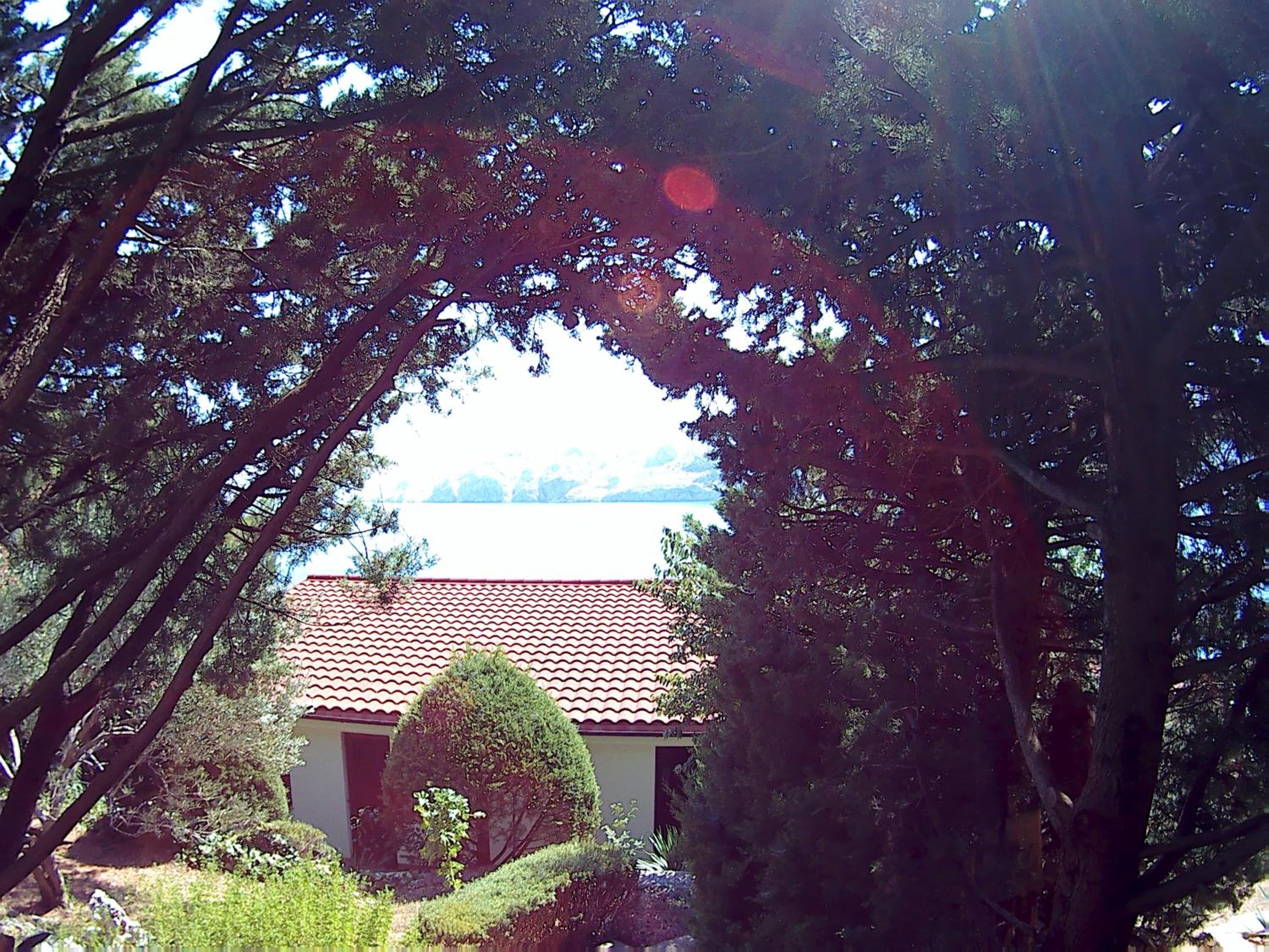 Studio with Sea View photo 3