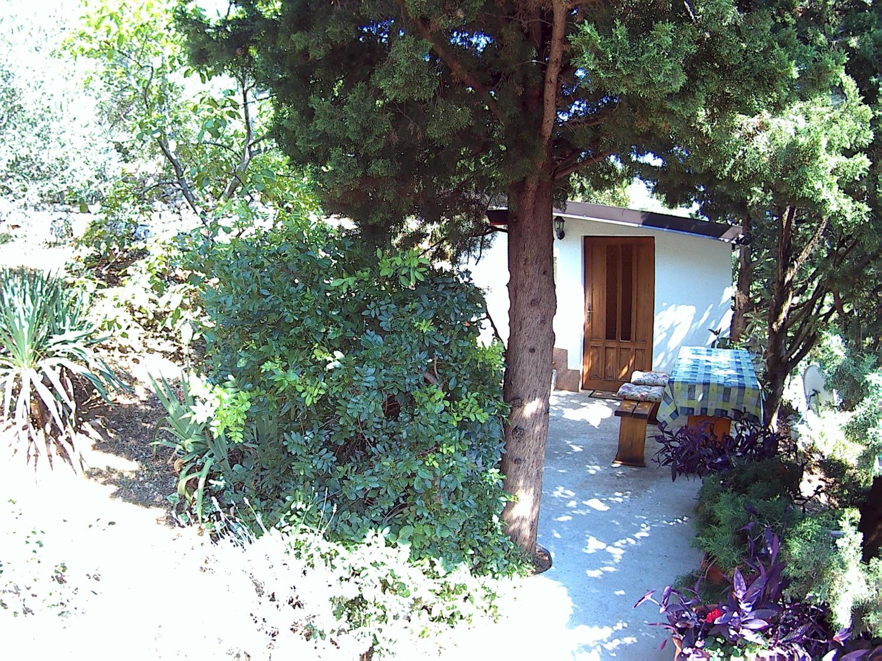 Studio with Sea View photo 2