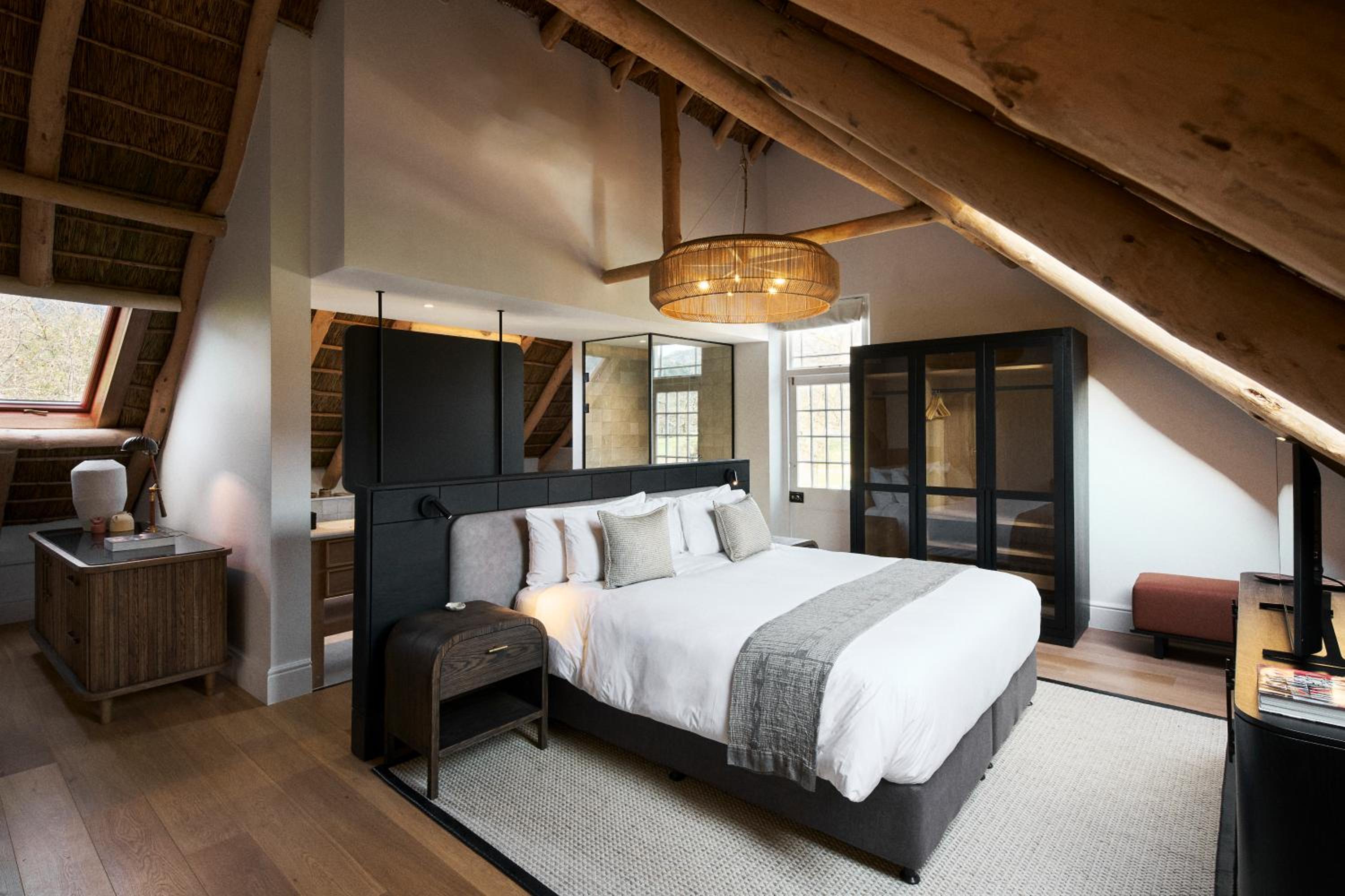 Deluxe King Suite photo 2