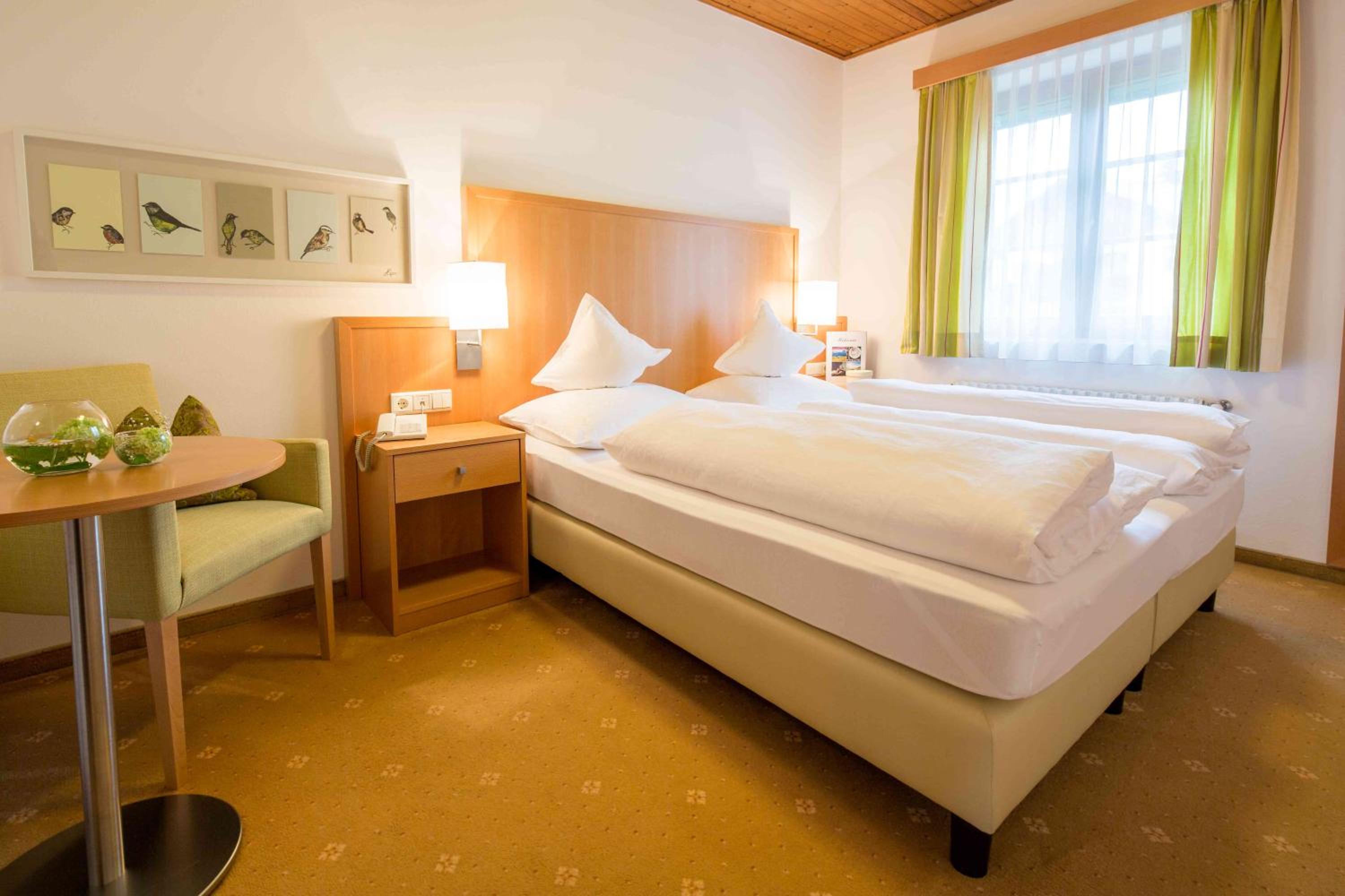 Standard Double or Twin Room photo 2