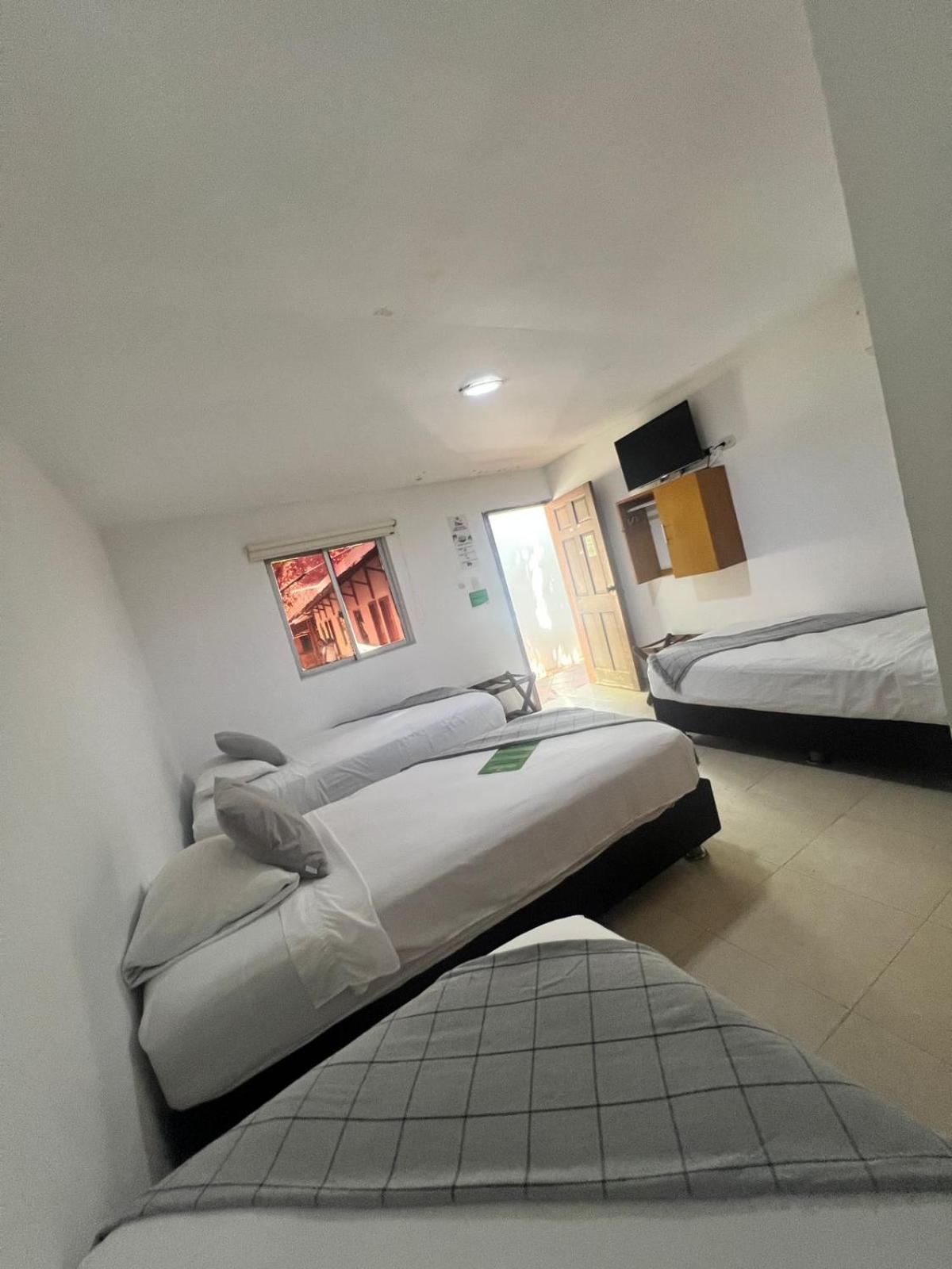 Comfort Quadruple Room photo 1