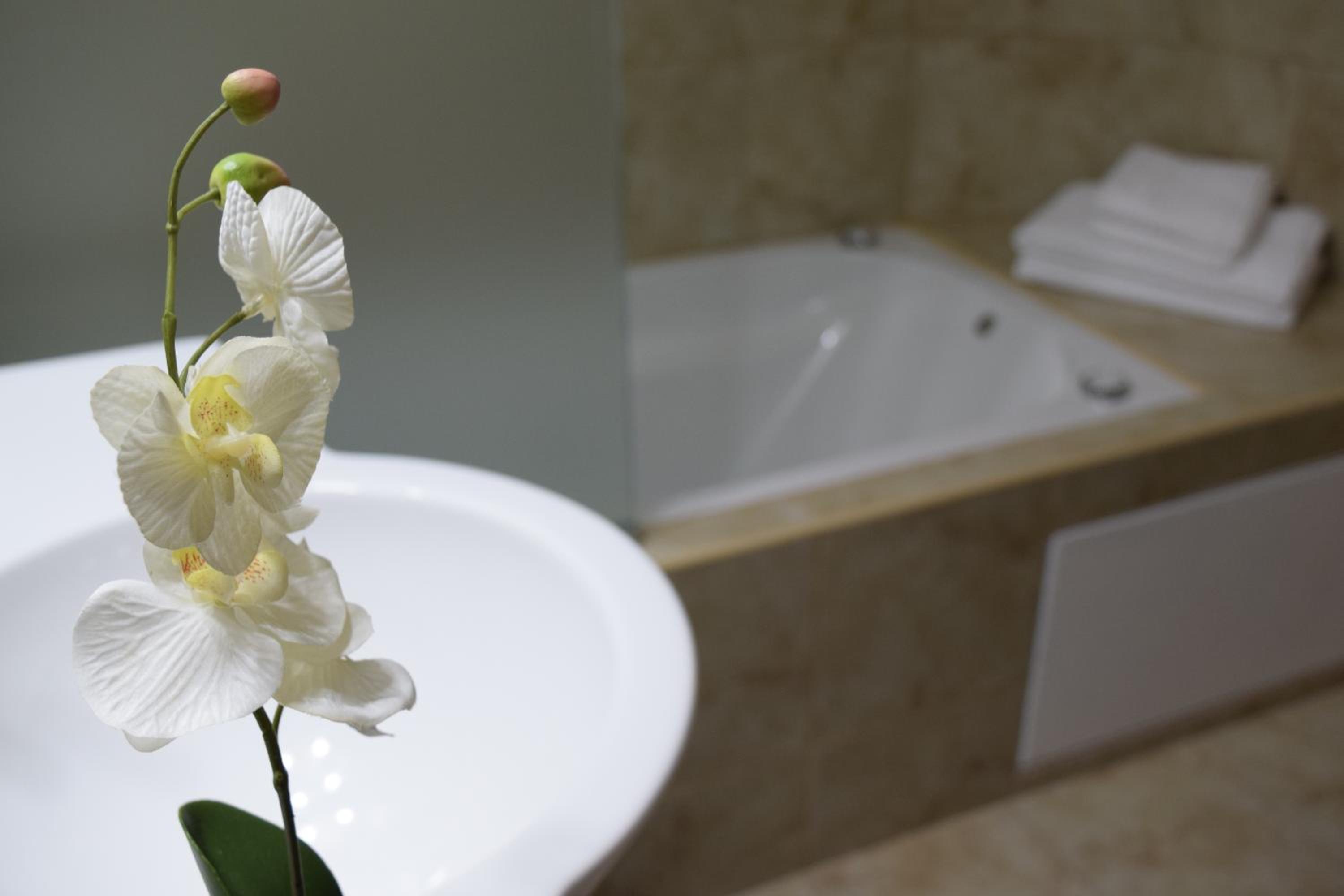 Presidential Suite photo 2