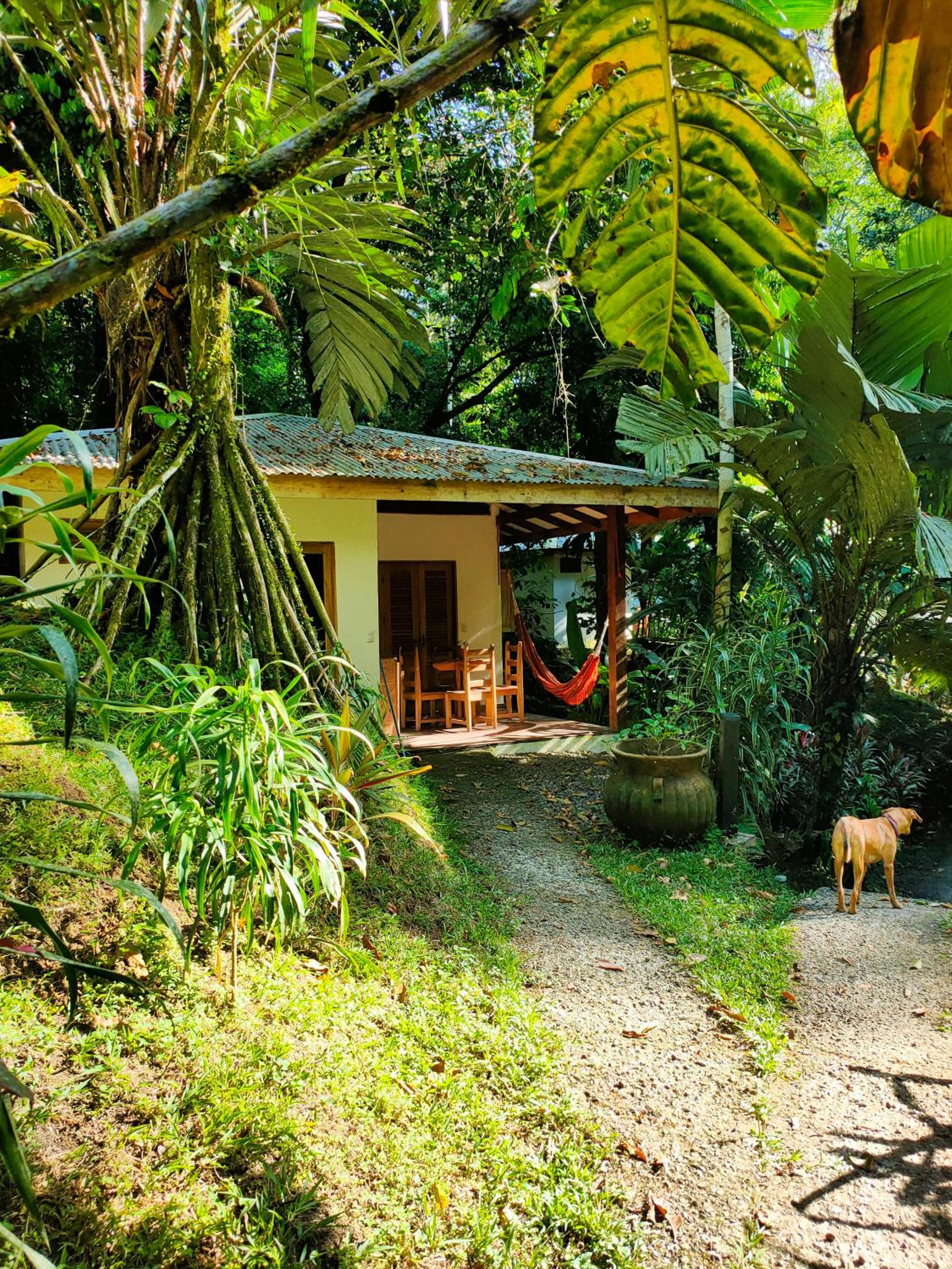 One-Bedroom Bungalow photo 3