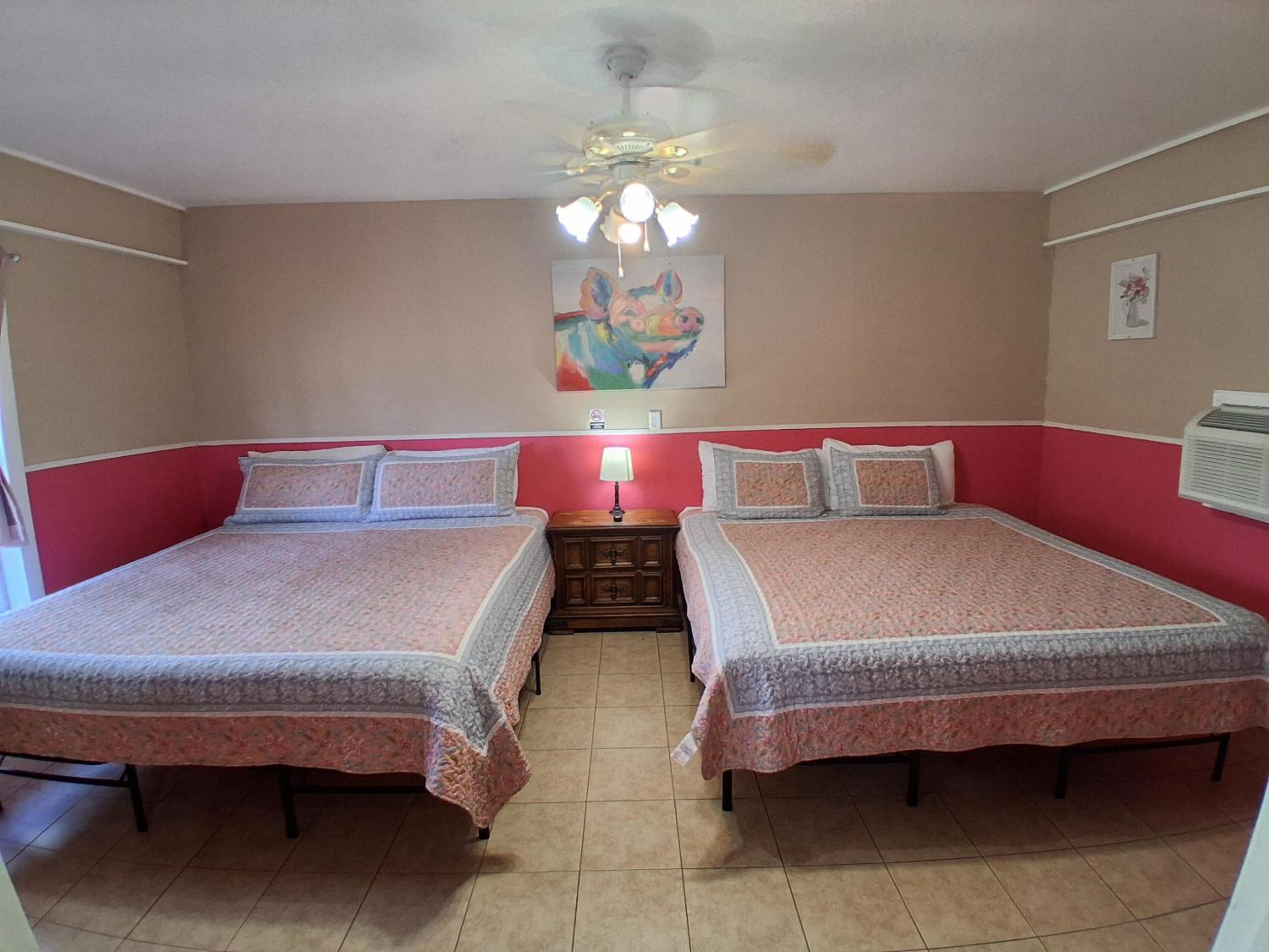 Deluxe King Suite photo 3