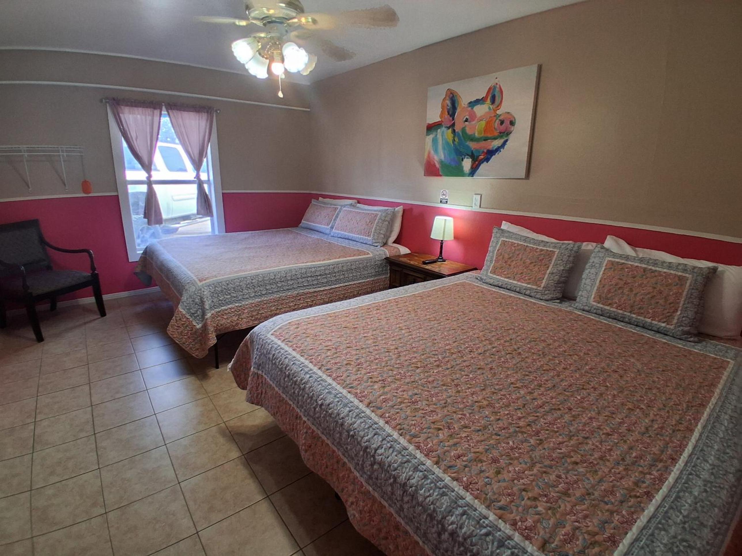 Deluxe King Suite photo 1