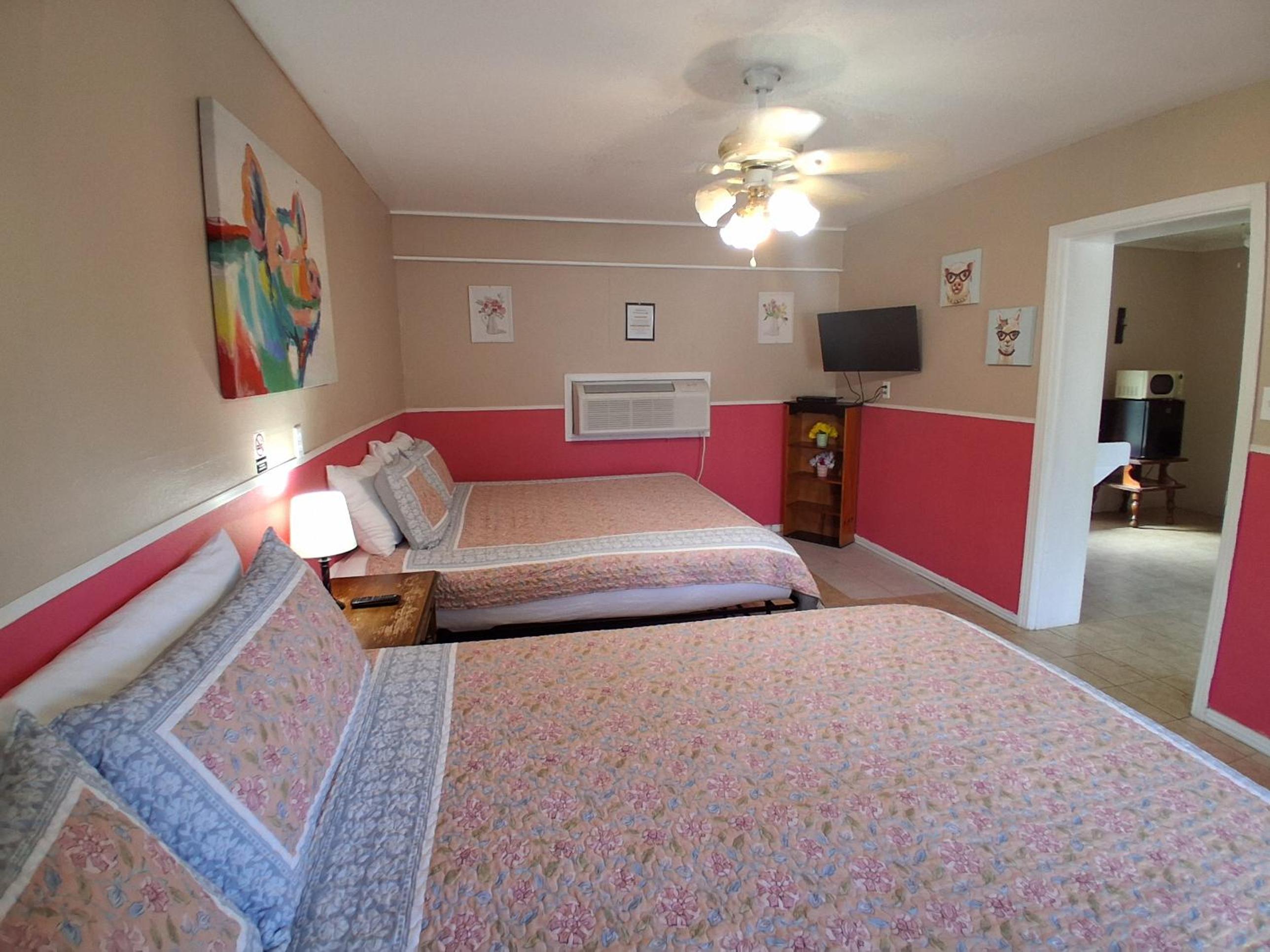 Deluxe King Suite photo 2