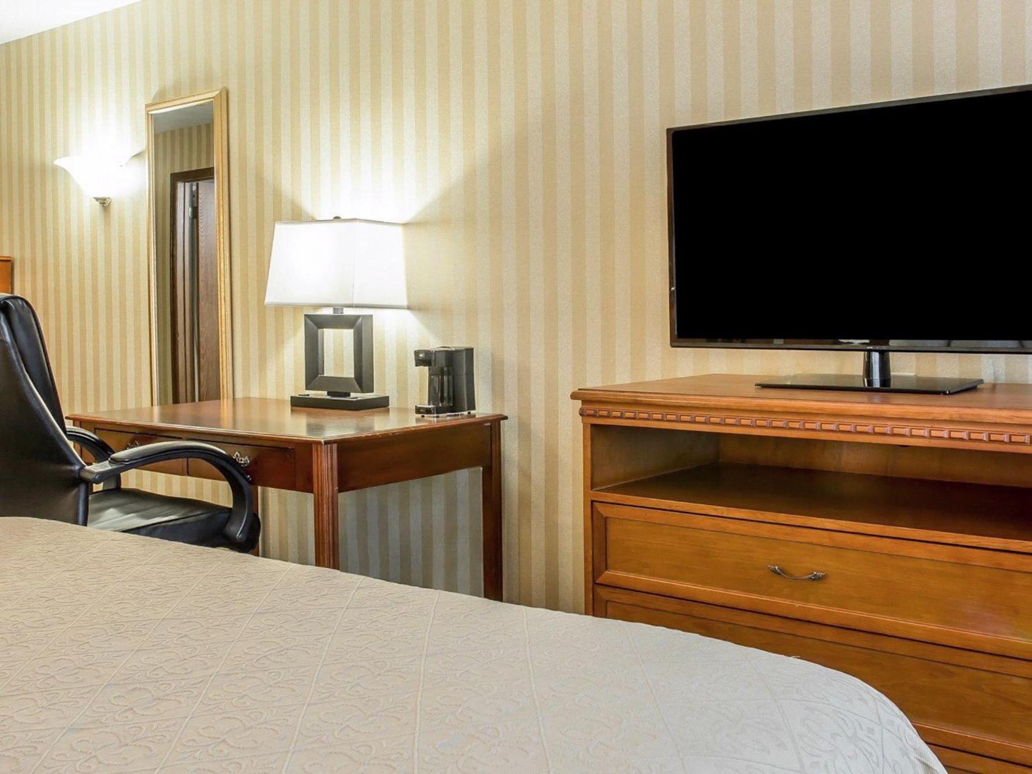 King Room photo 2