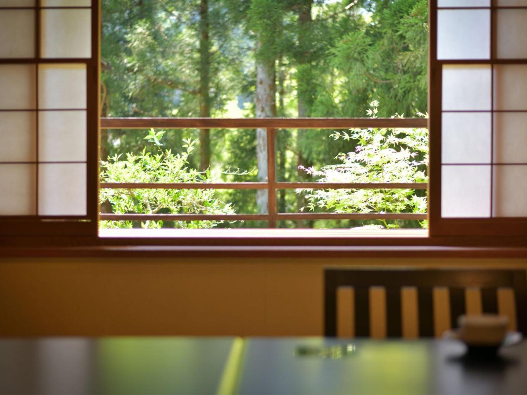 Deluxe Double or Twin Room with Mountain View