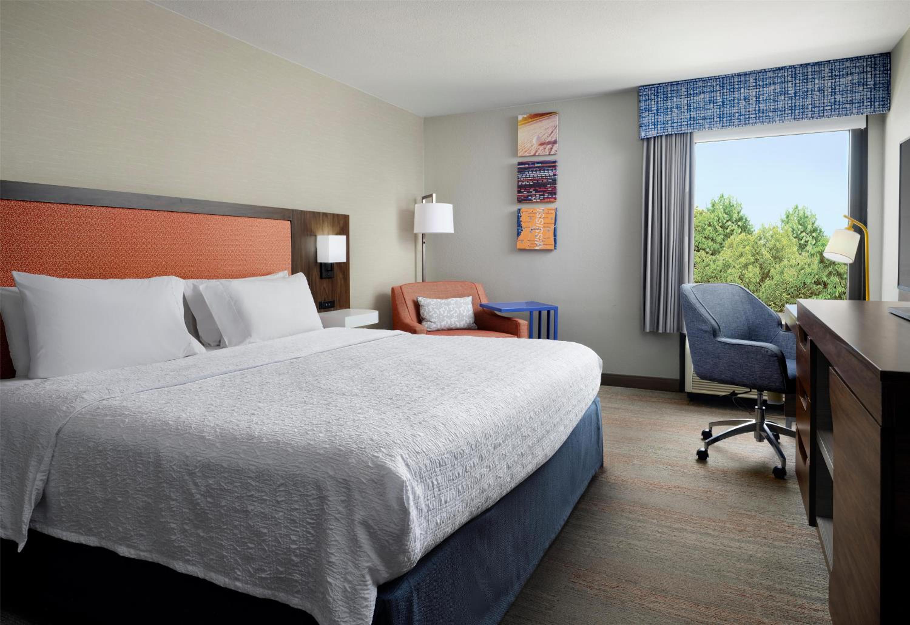 King Room with Roll-In Shower - Mobility and Hearing Access/Non-Smoking - Photo 2
